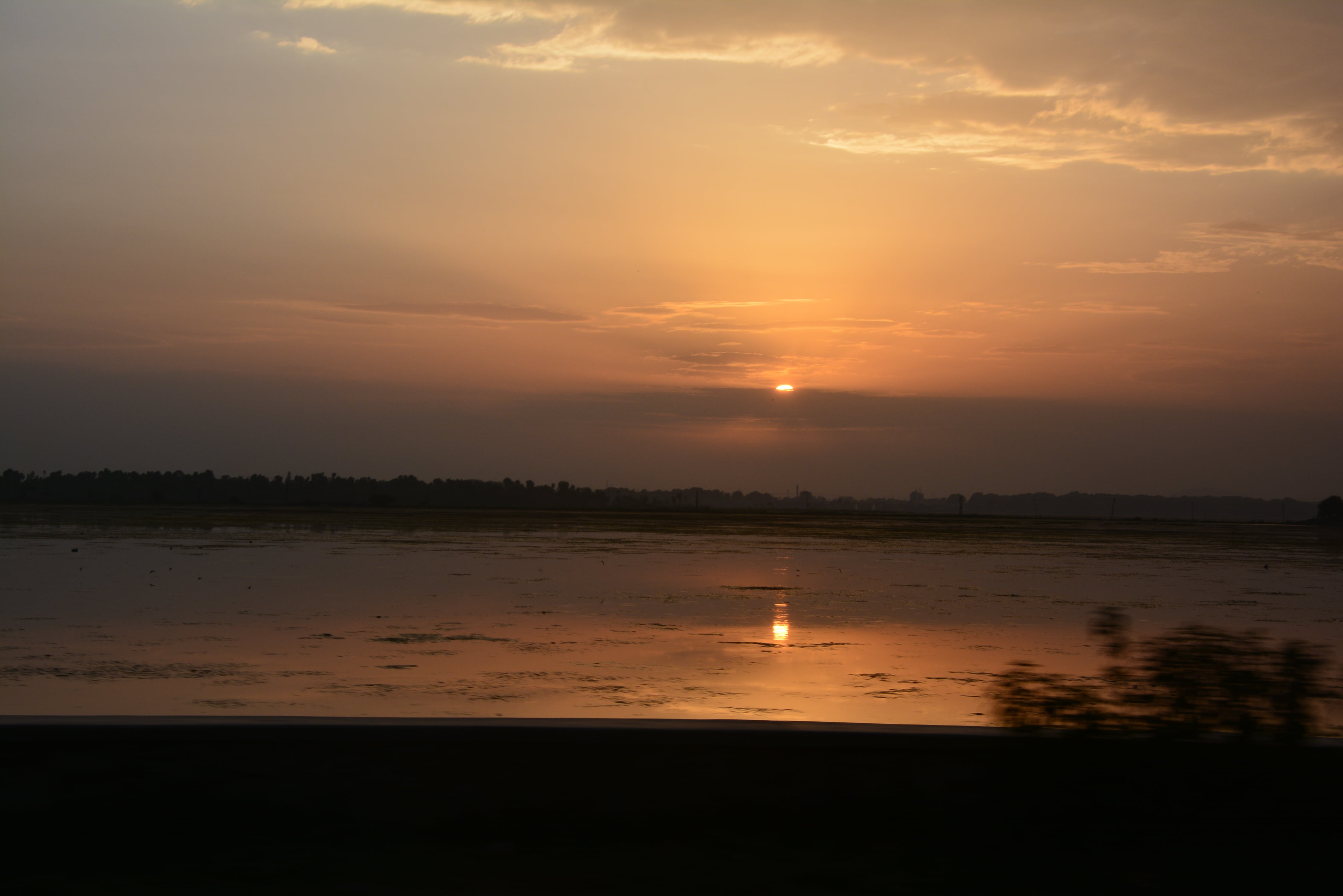 sunset, kashmir, dal lake, india, srinagar, boat, water, sky