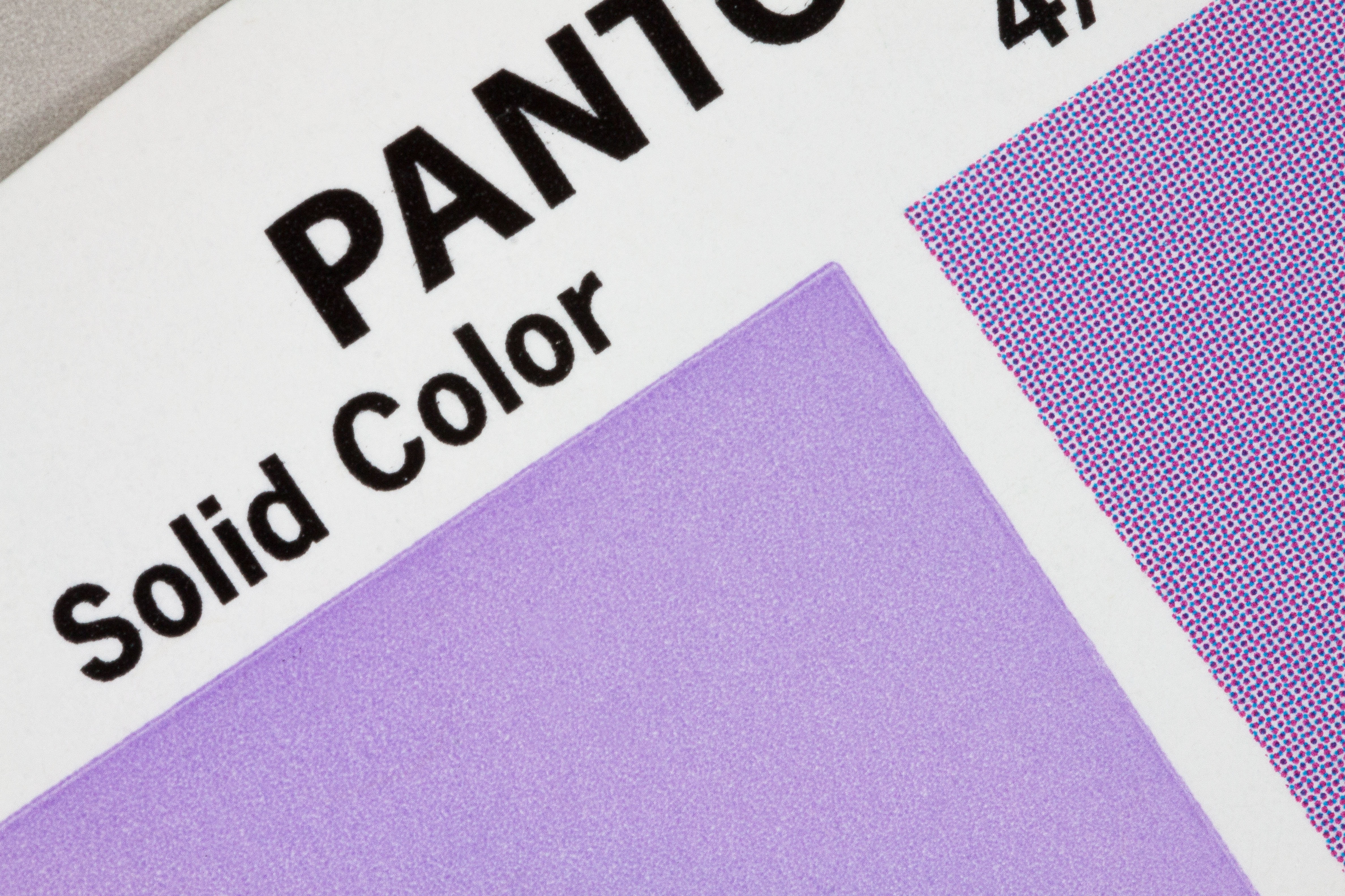 purple color, color fan, pantone, printing inks, concentrated