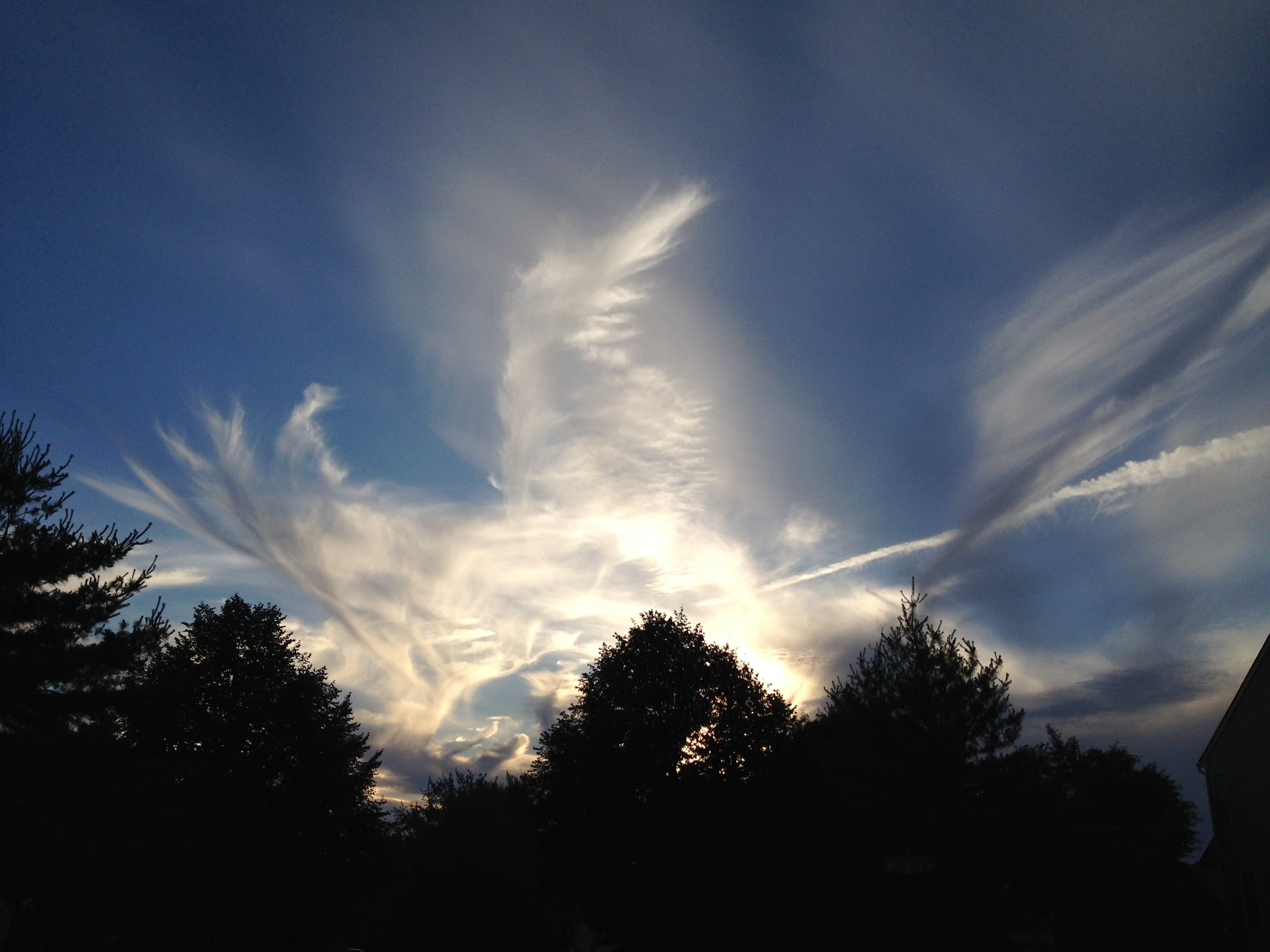 Clouds, Pattern, Trees, sky, blue, nature, light, sunlight