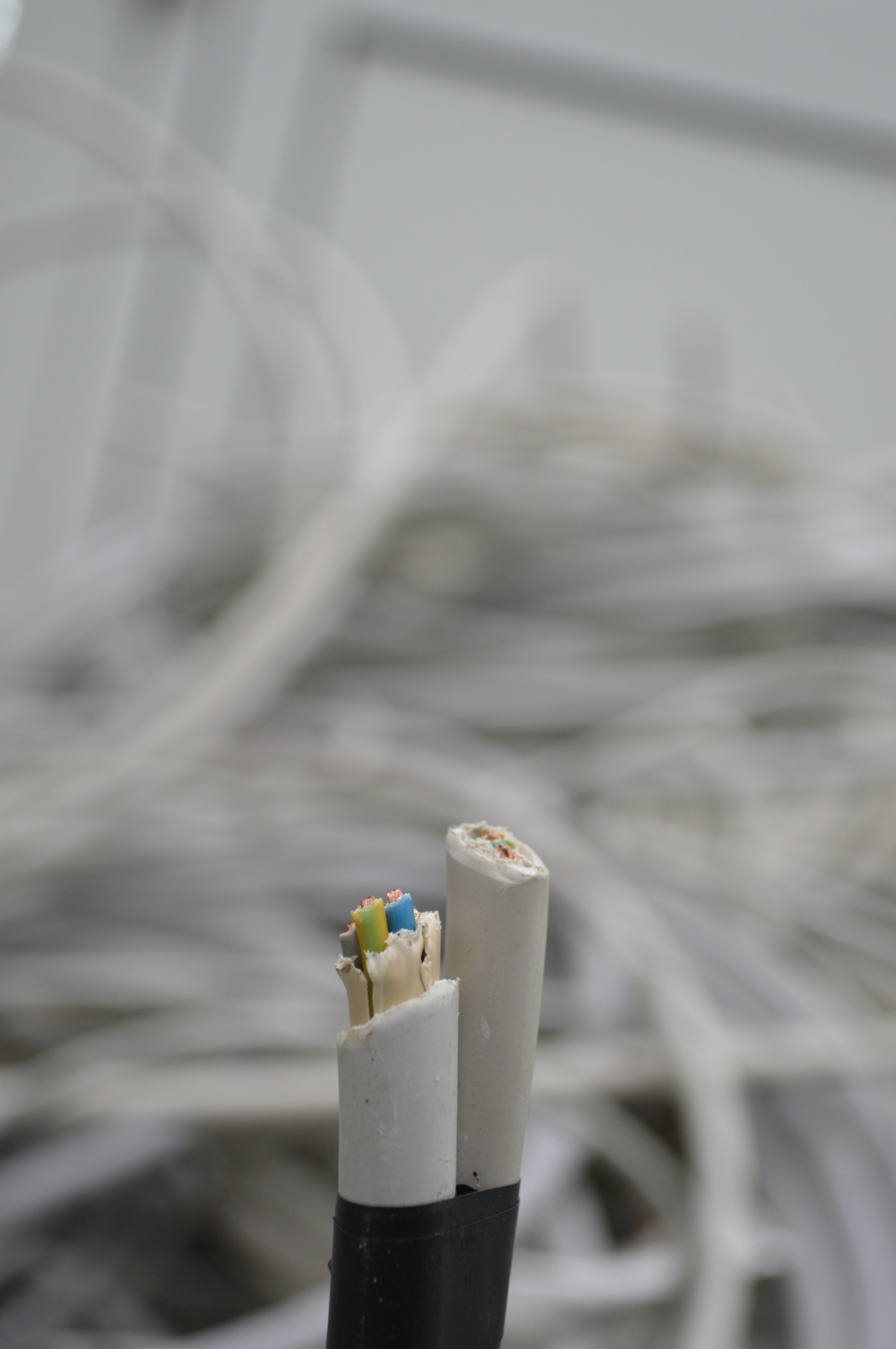 cable, electronics, technology, circuit, focus on foreground