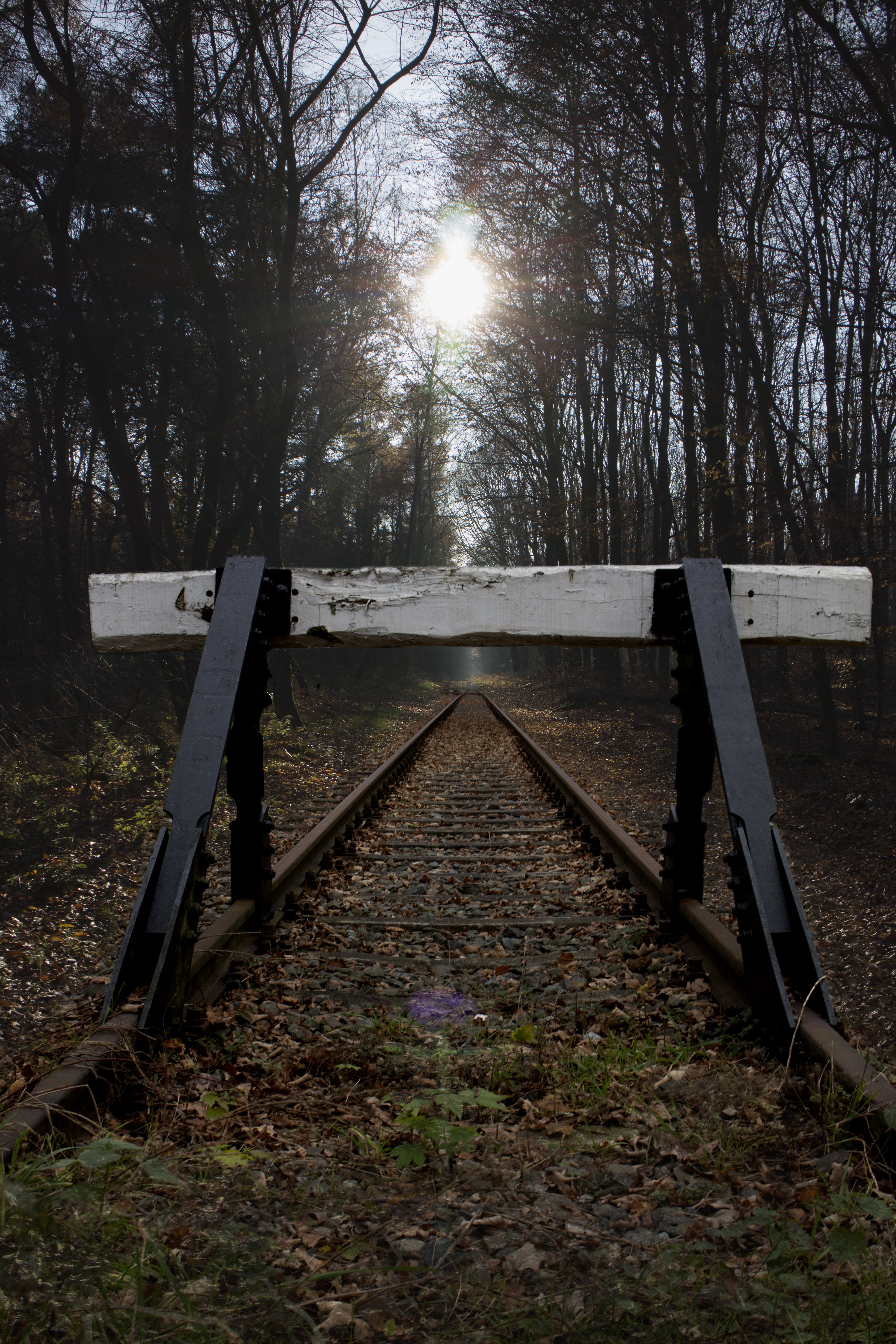 buffer stop, siding, glade, forest, trees, forest path, atmosphere
