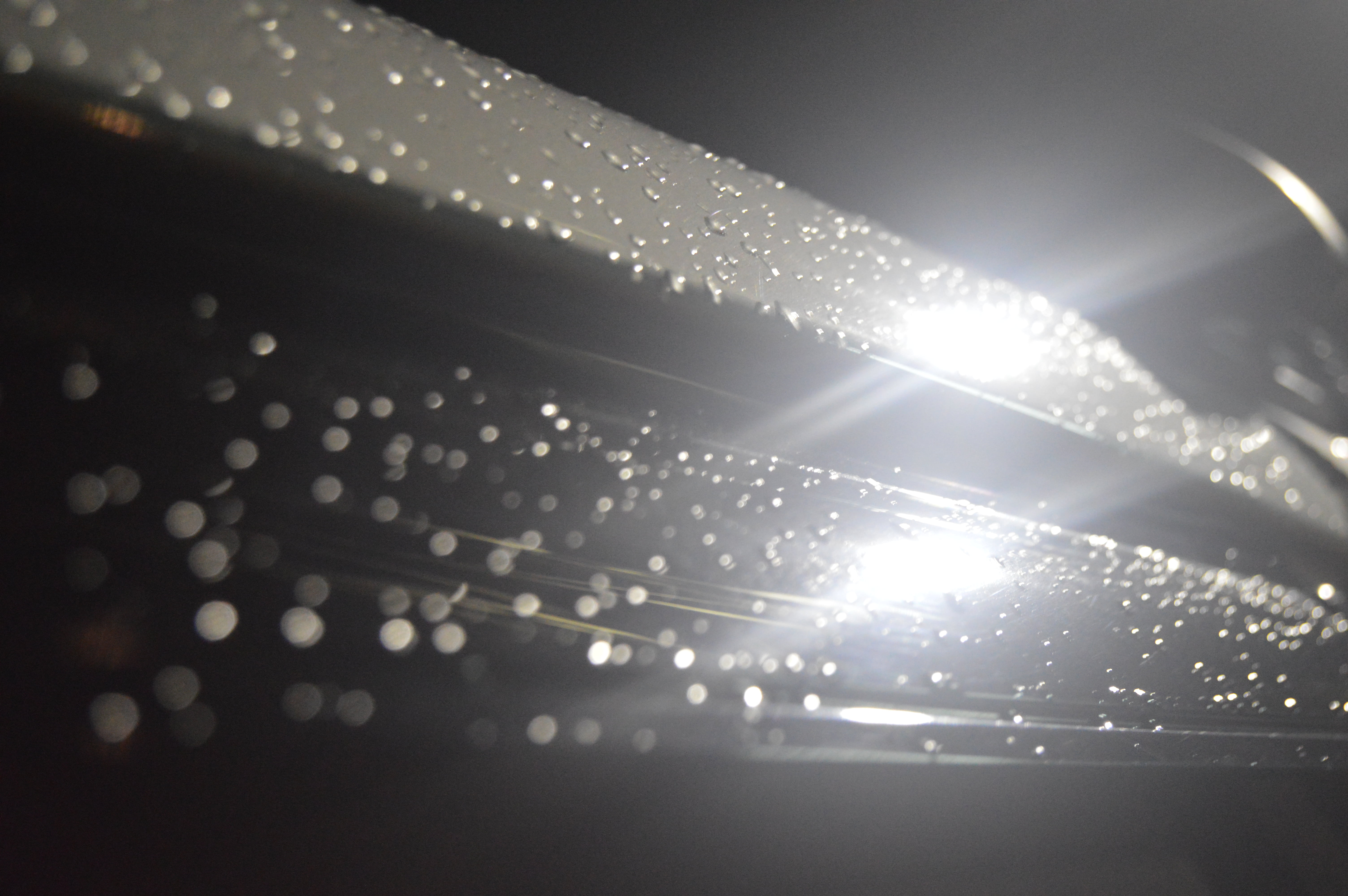 blur, bright, close-up, dark, dew, dewdrops, droplets, light