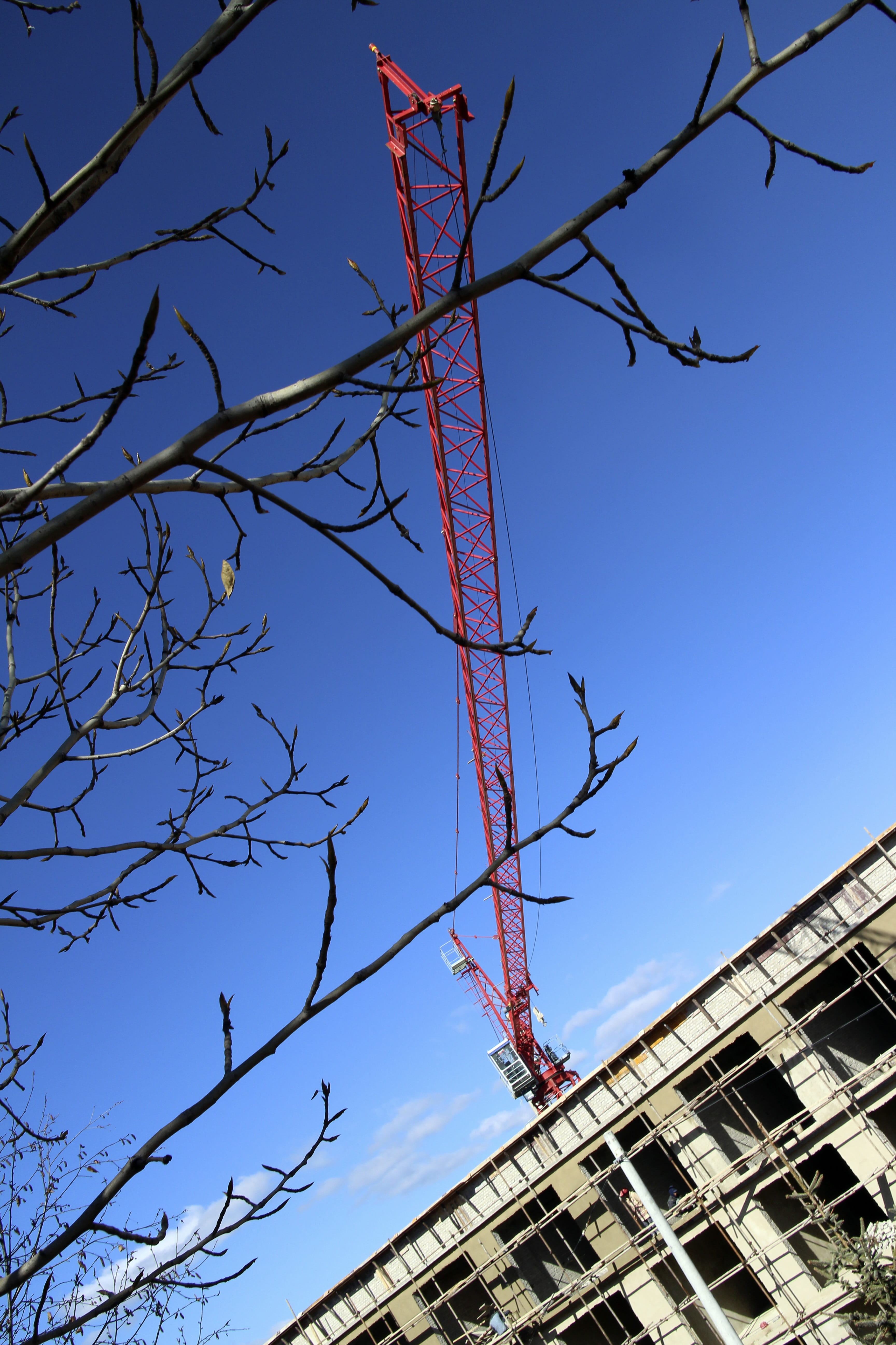 bulding, sky, tree, low angle view, architecture, bare tree