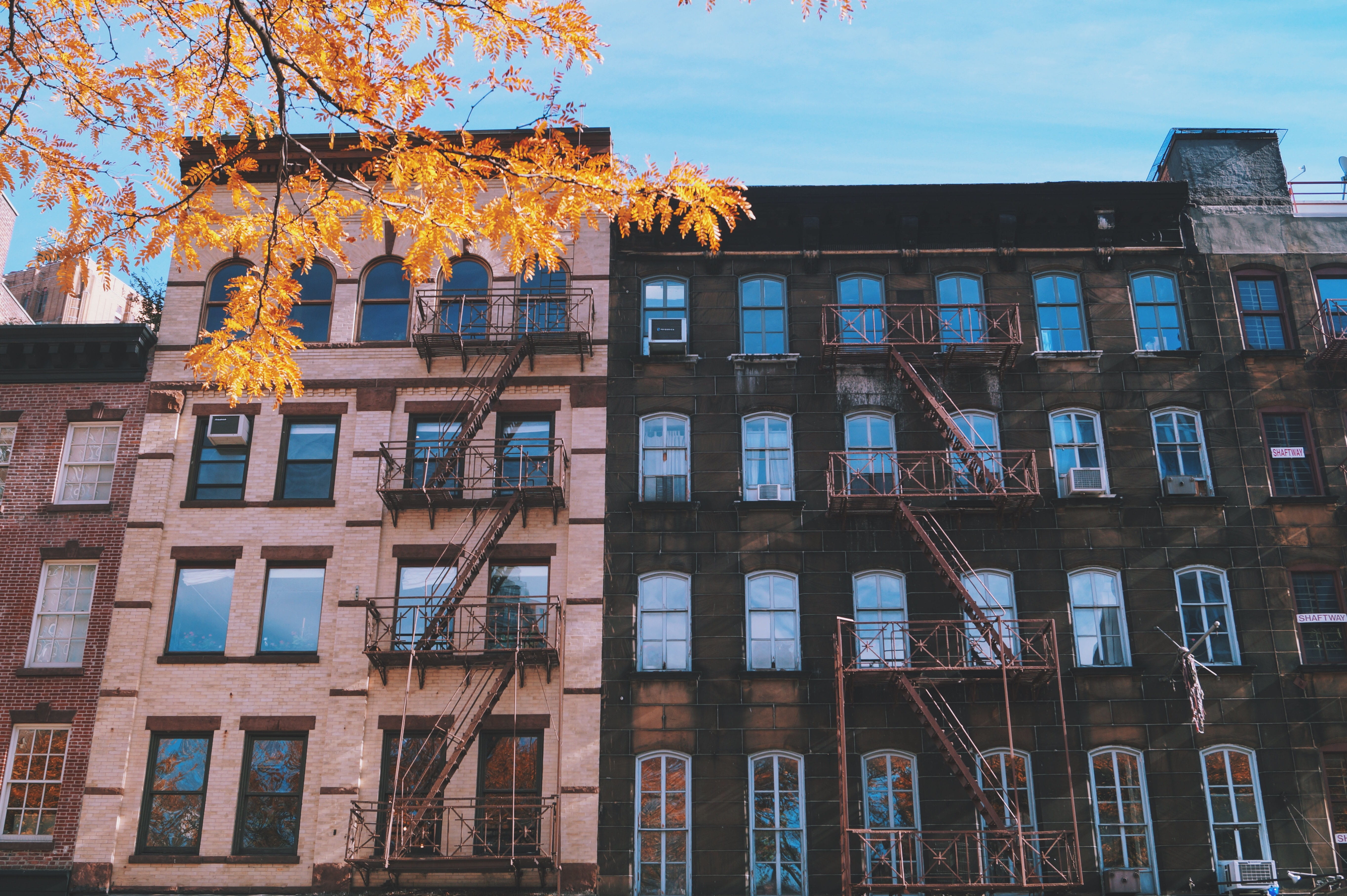 architecture, building, infrastructure, leaf, fall, tree, autumn