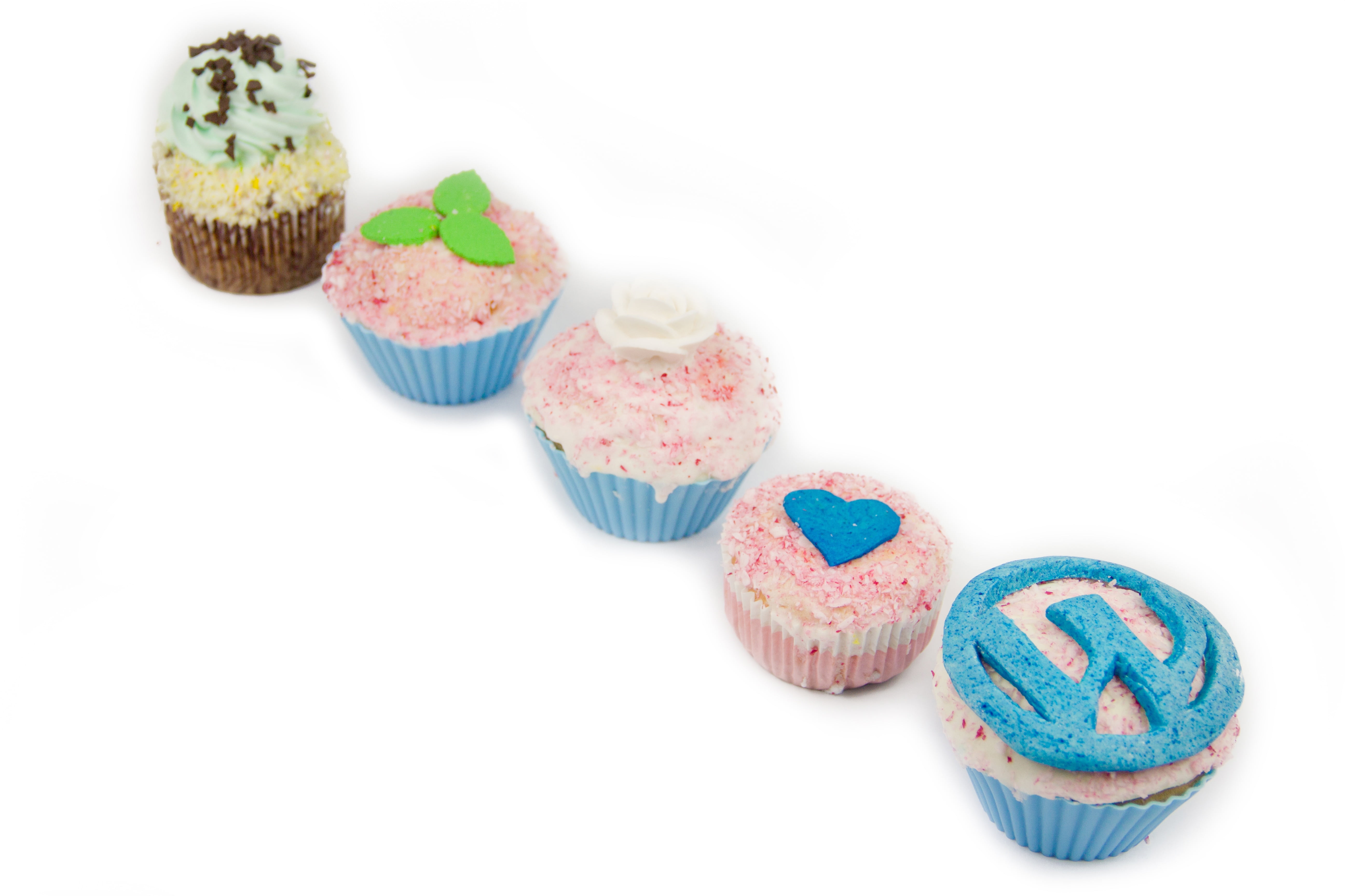 cupcakes, wordpress, sweets, bakery, delicious, cream, design