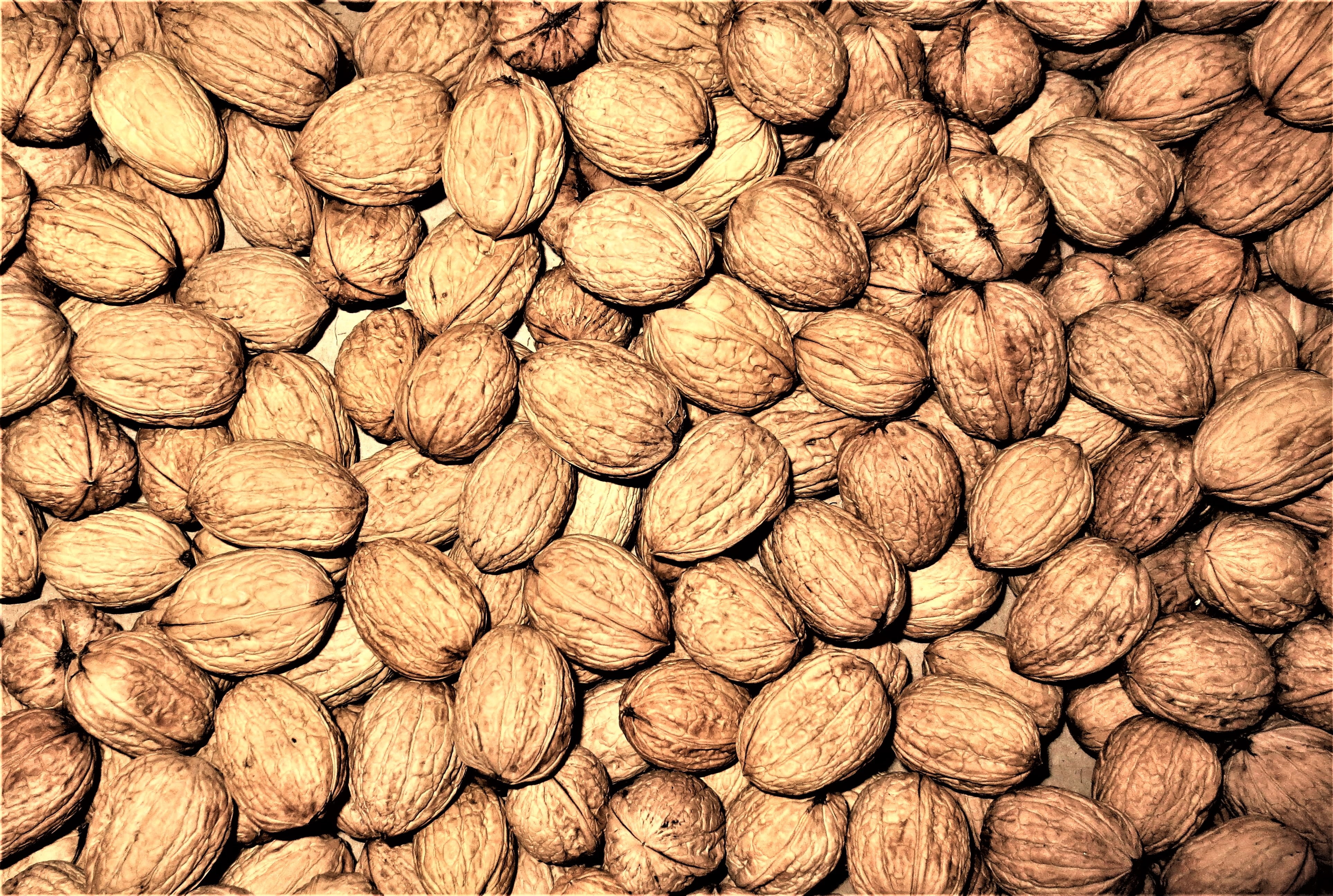 walnuts, fruit, structure, full frame, backgrounds, food, large group of objects