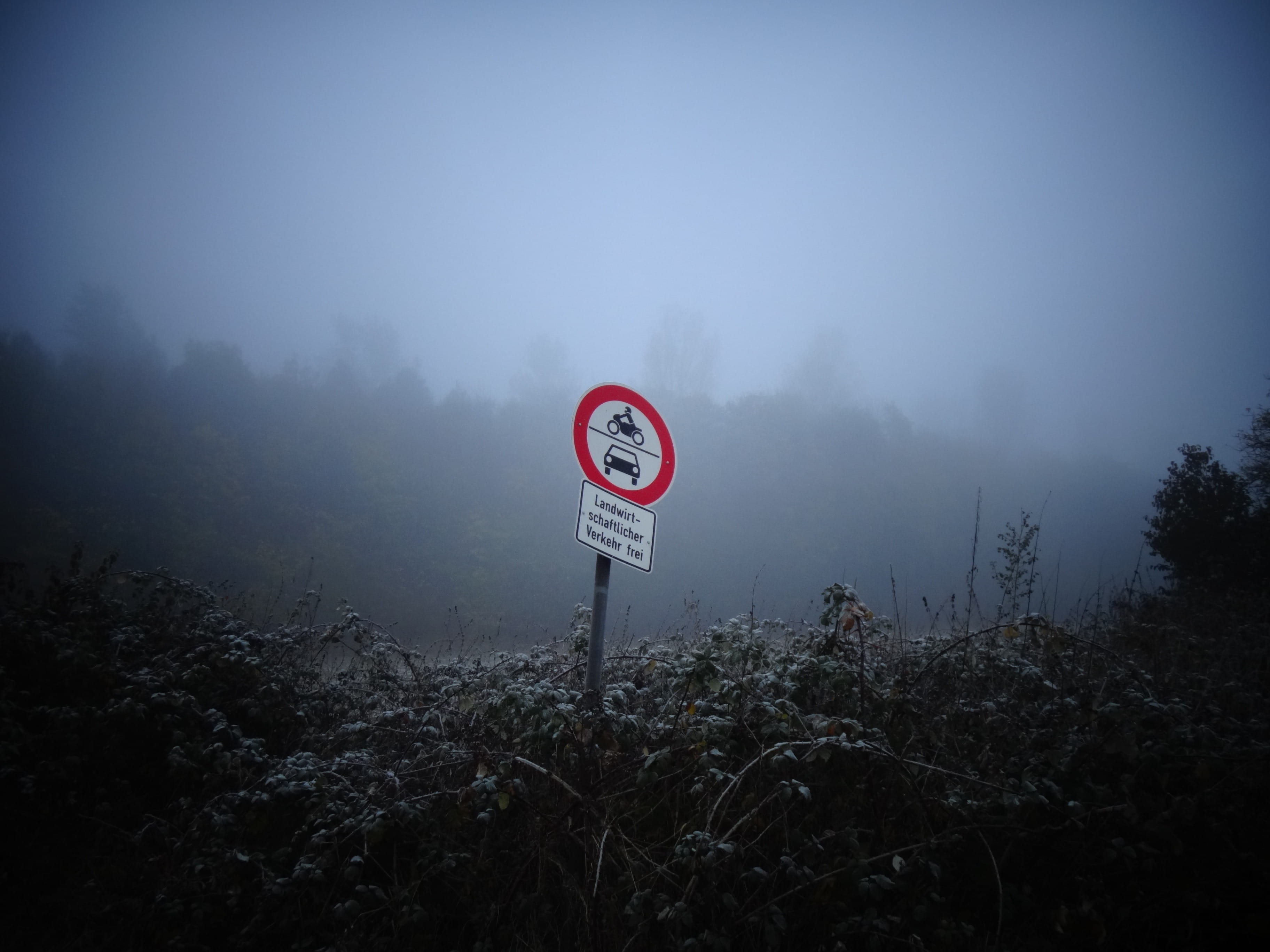 Fog, Nature, Shield, Note, Blue, Grey, tree, warning sign, red