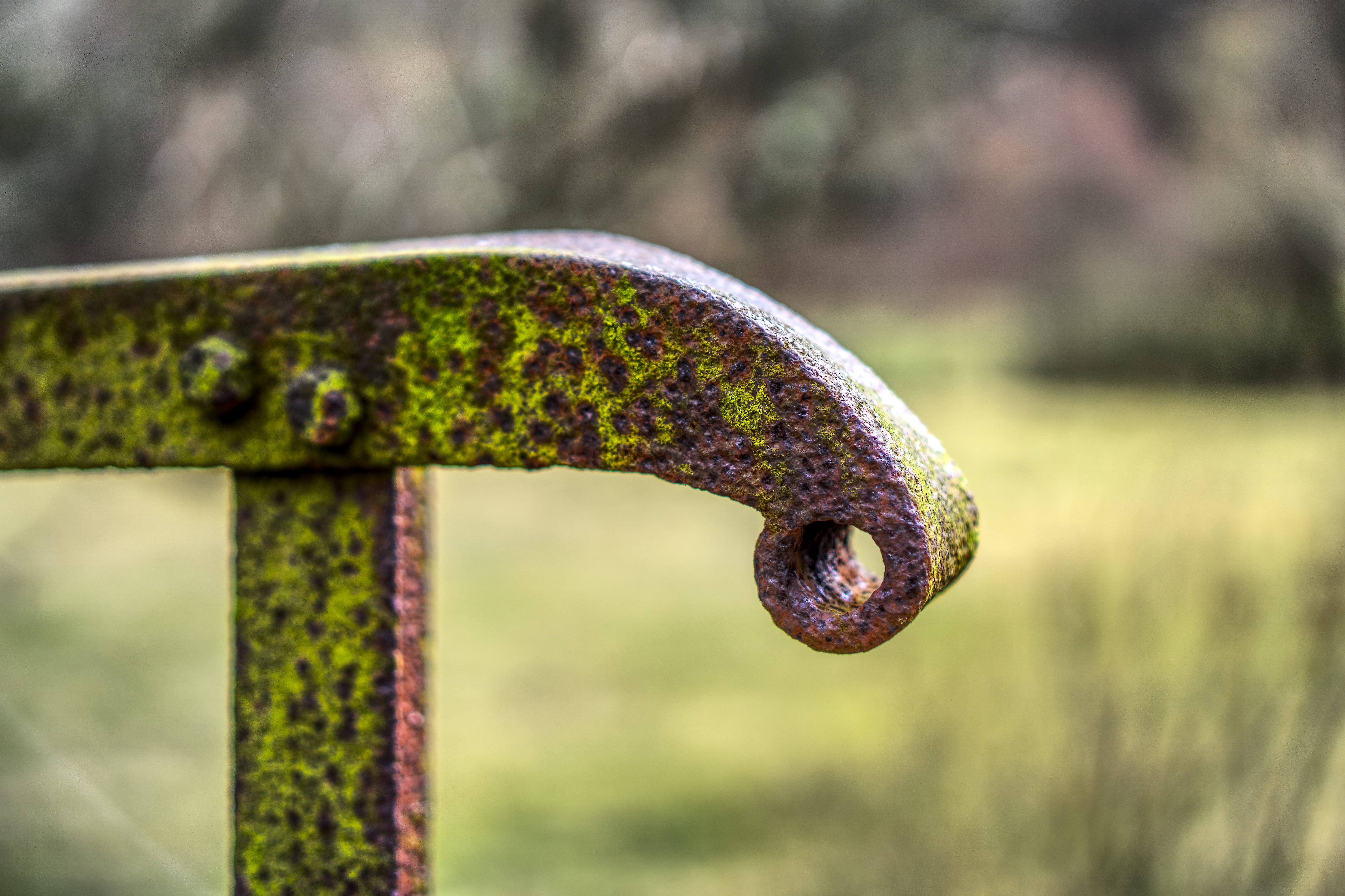 railing, bridge, rusty, old broken, moss, grass, green, leave