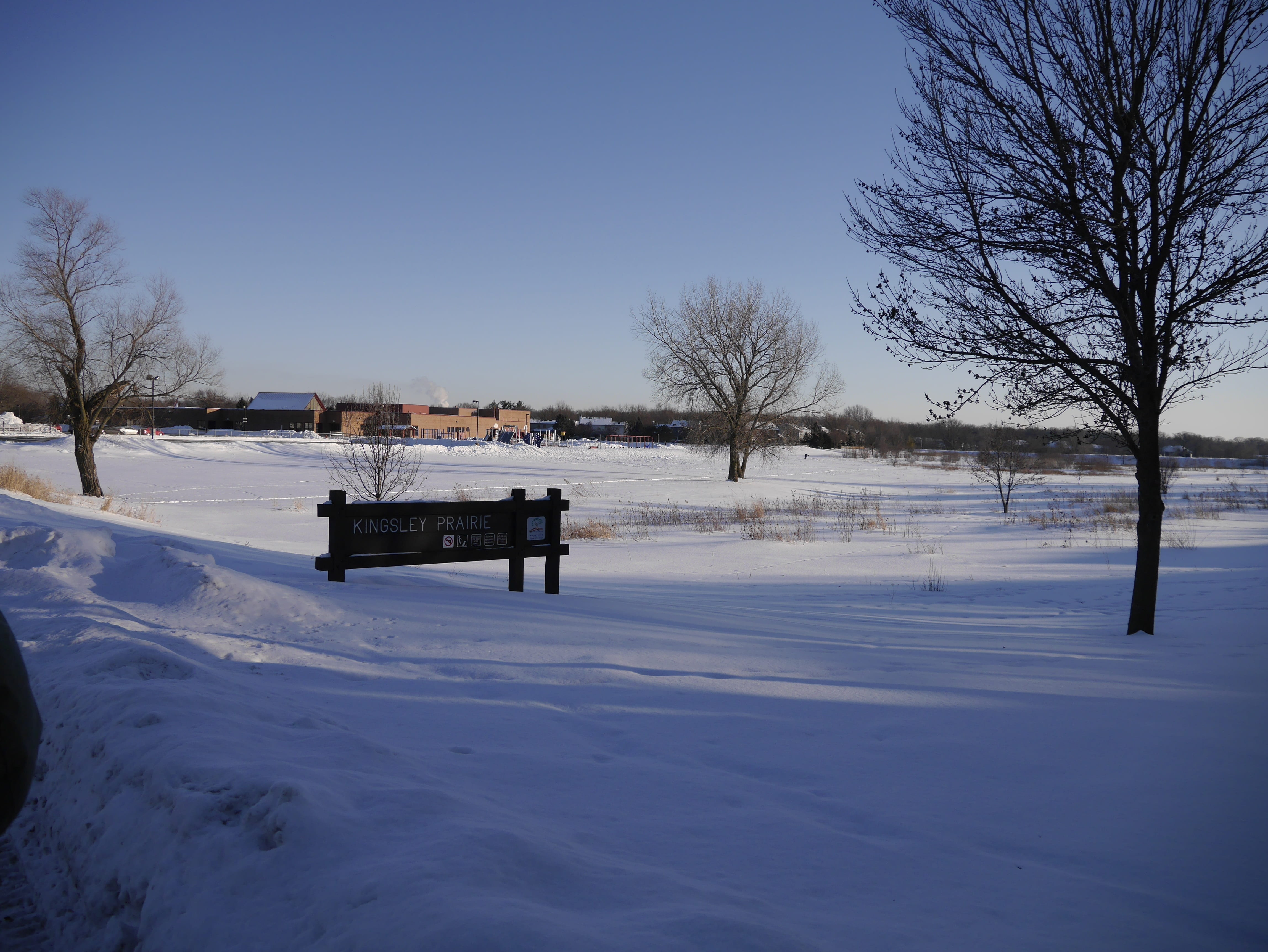chicago, snow, winter, cold temperature, bare tree, sky, bench