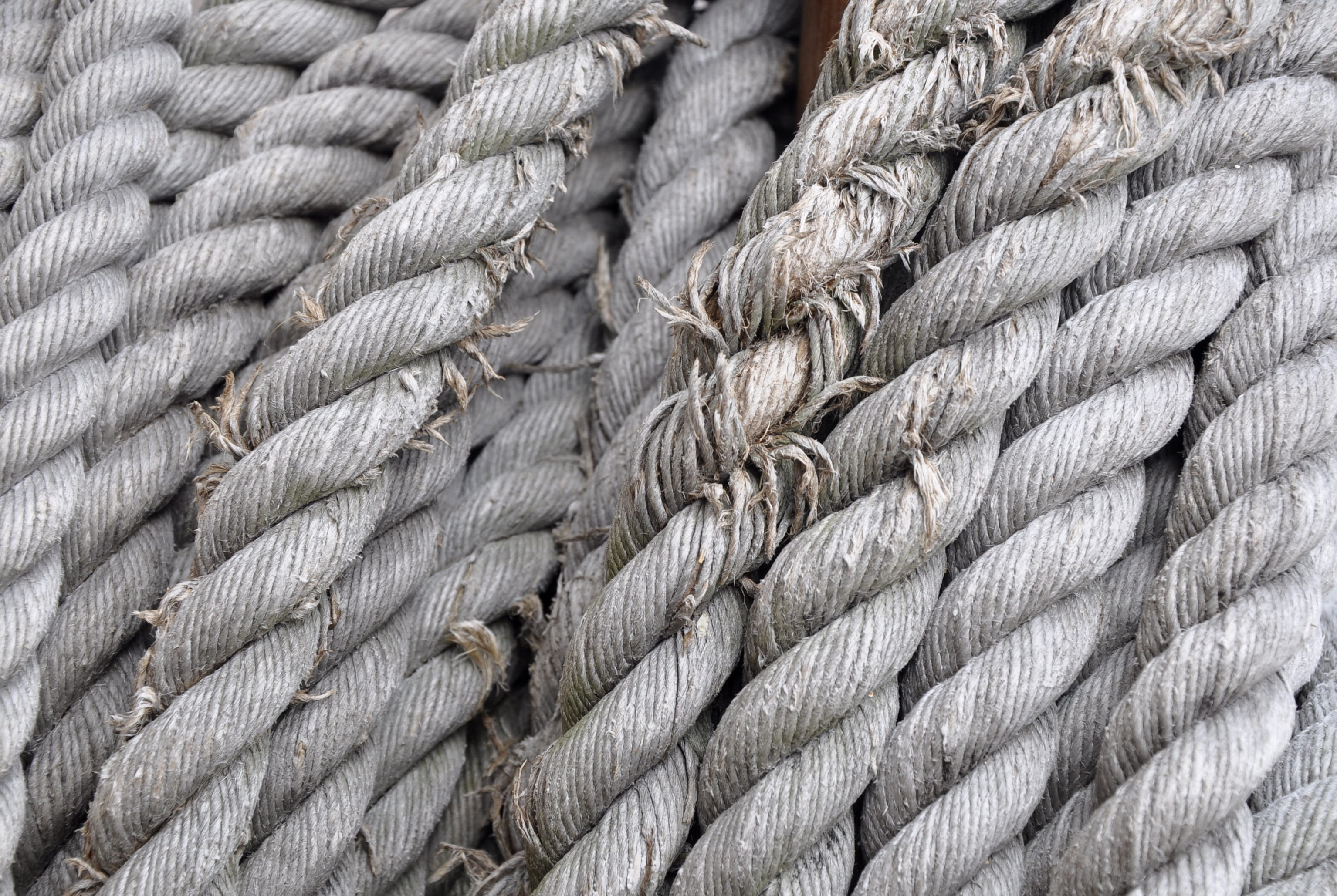rope, node, texture, model, simple, the industry, full frame