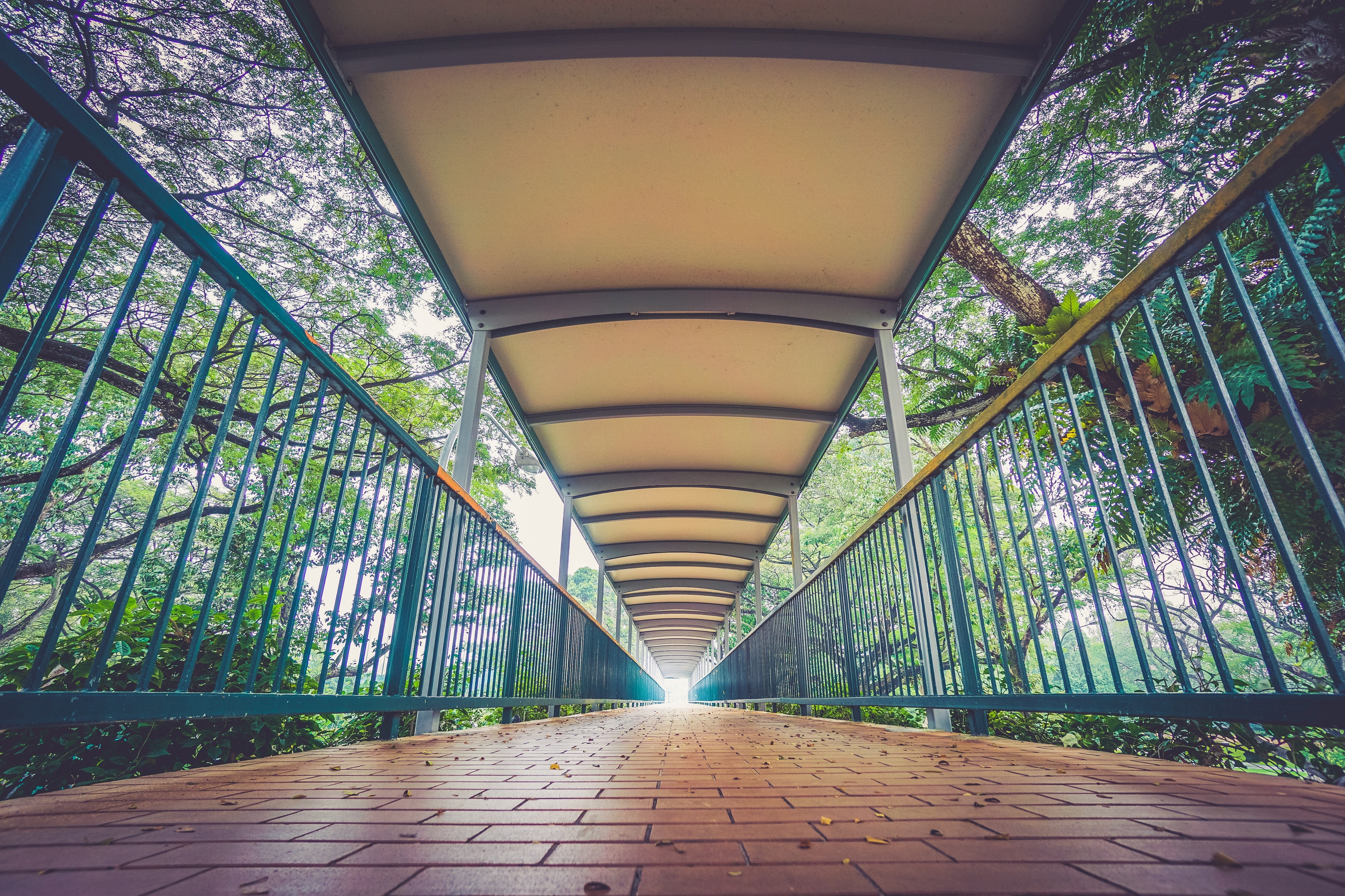 bridge, path, cobblestone, railing, trees, architecture, the way forward