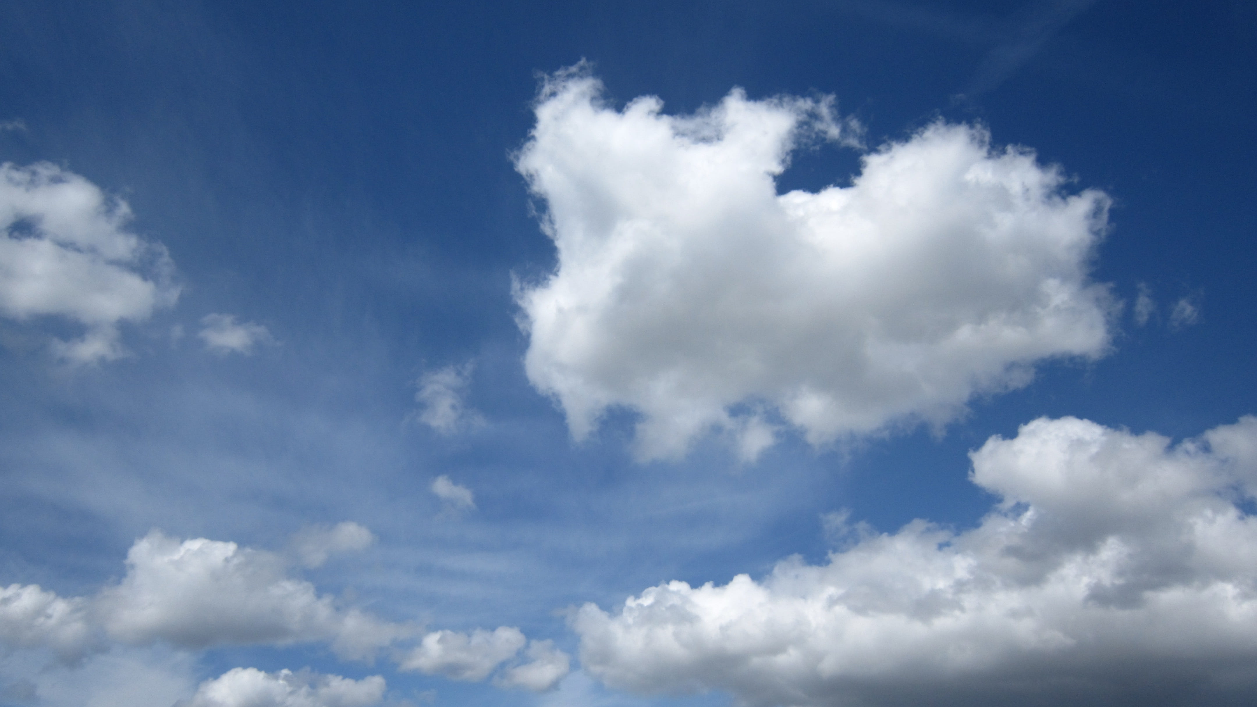 sky, clouds, fleecy, white, blue, spring, sun, cloud - sky