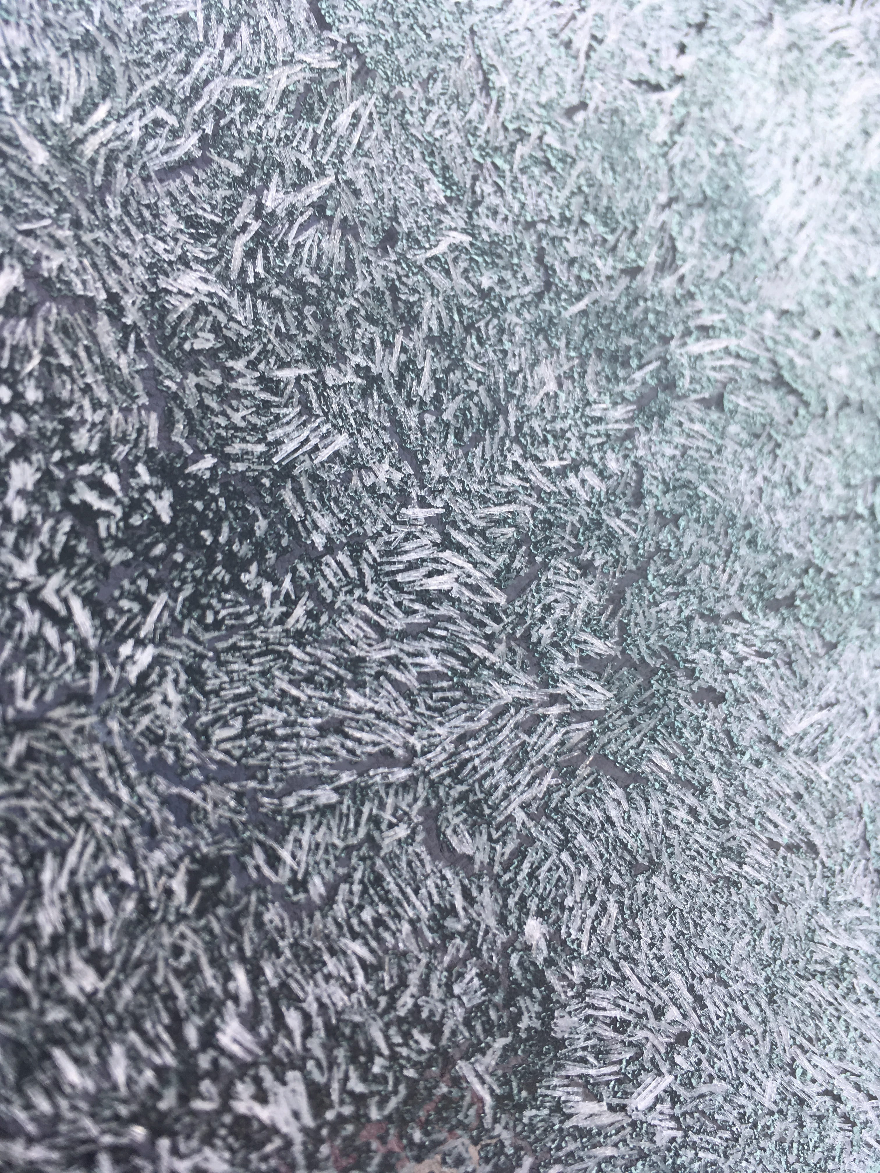 frosted, inside window, zing, backgrounds, full frame, pattern