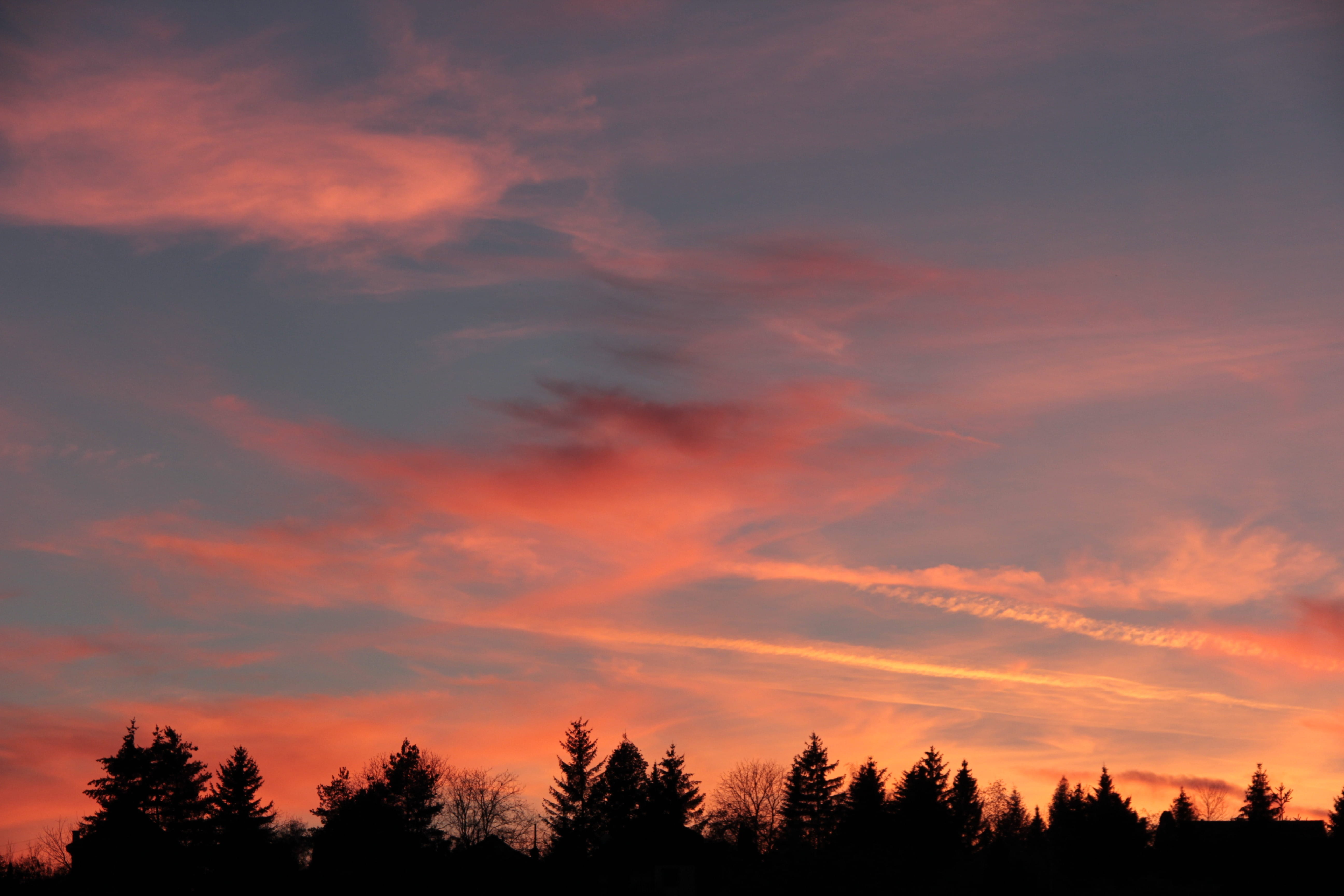Autumn, Sunset, Red, Cloud, tree, silhouette, scenics, forest