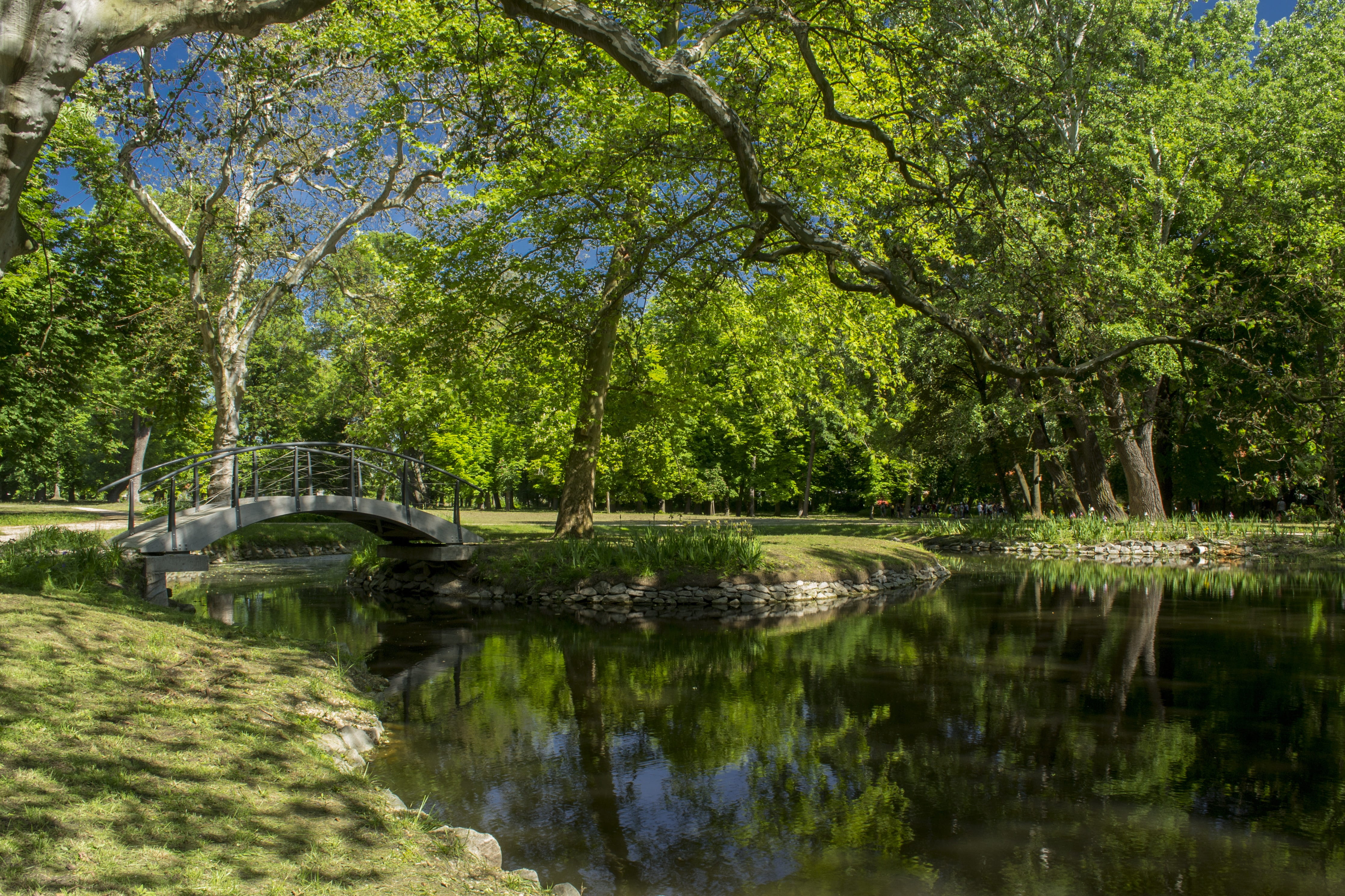 bridge, park, romantic, tree, water, plant, reflection, tranquility