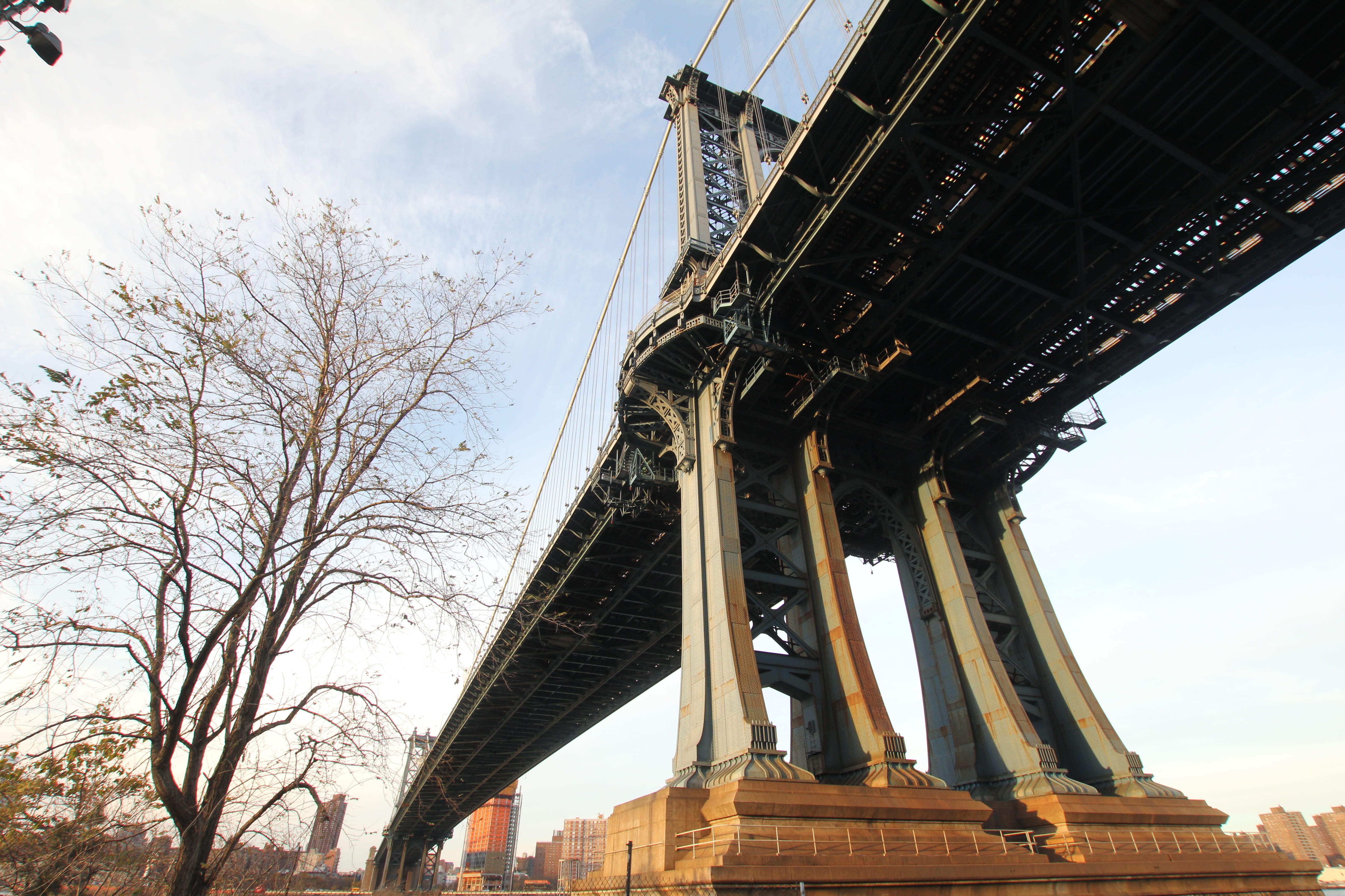bridge, tree, cable bridge, architecture, built structure, sky