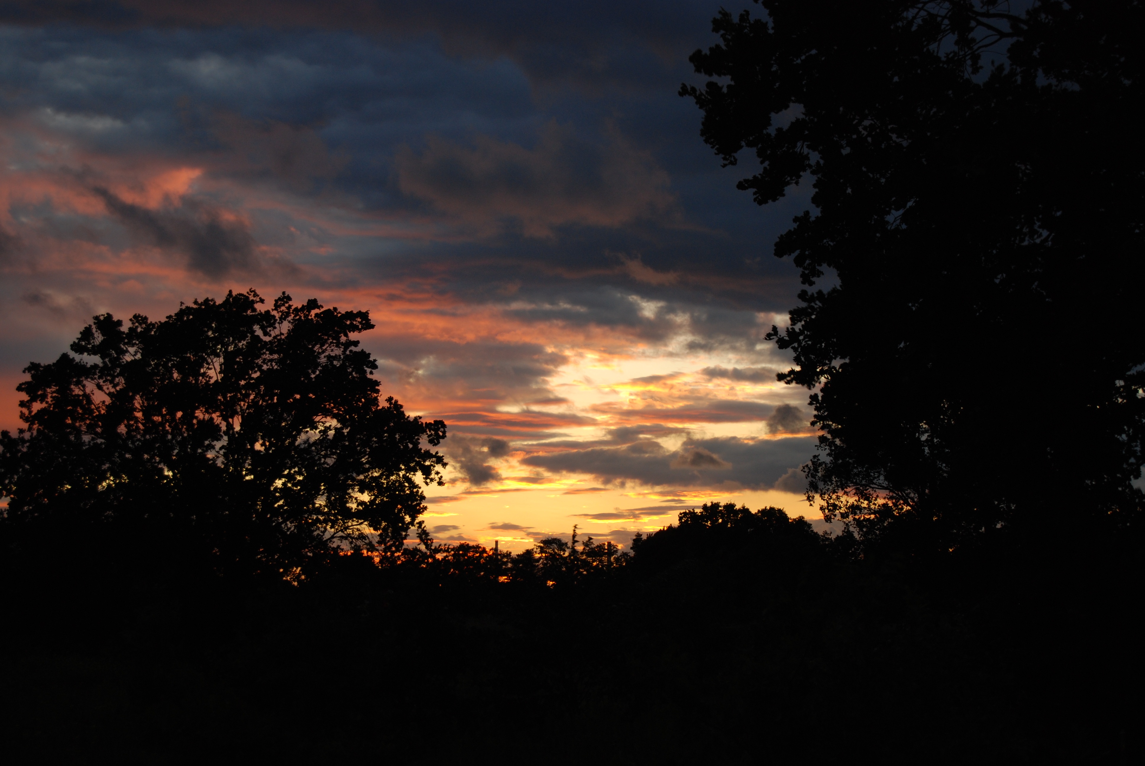 evening, sky, clouds, tree, sunset, silhouette, cloud - sky