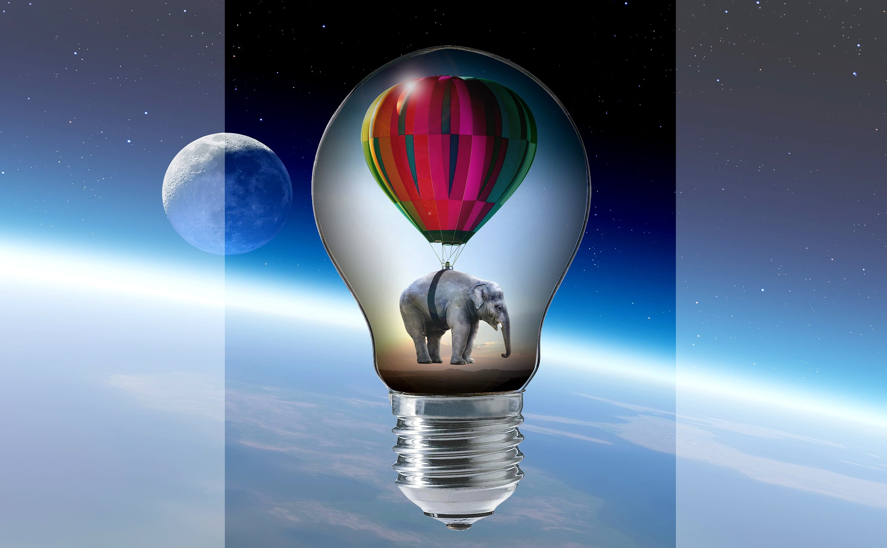 elephant with hot hair balloon bulb artwork, pear, light bulb