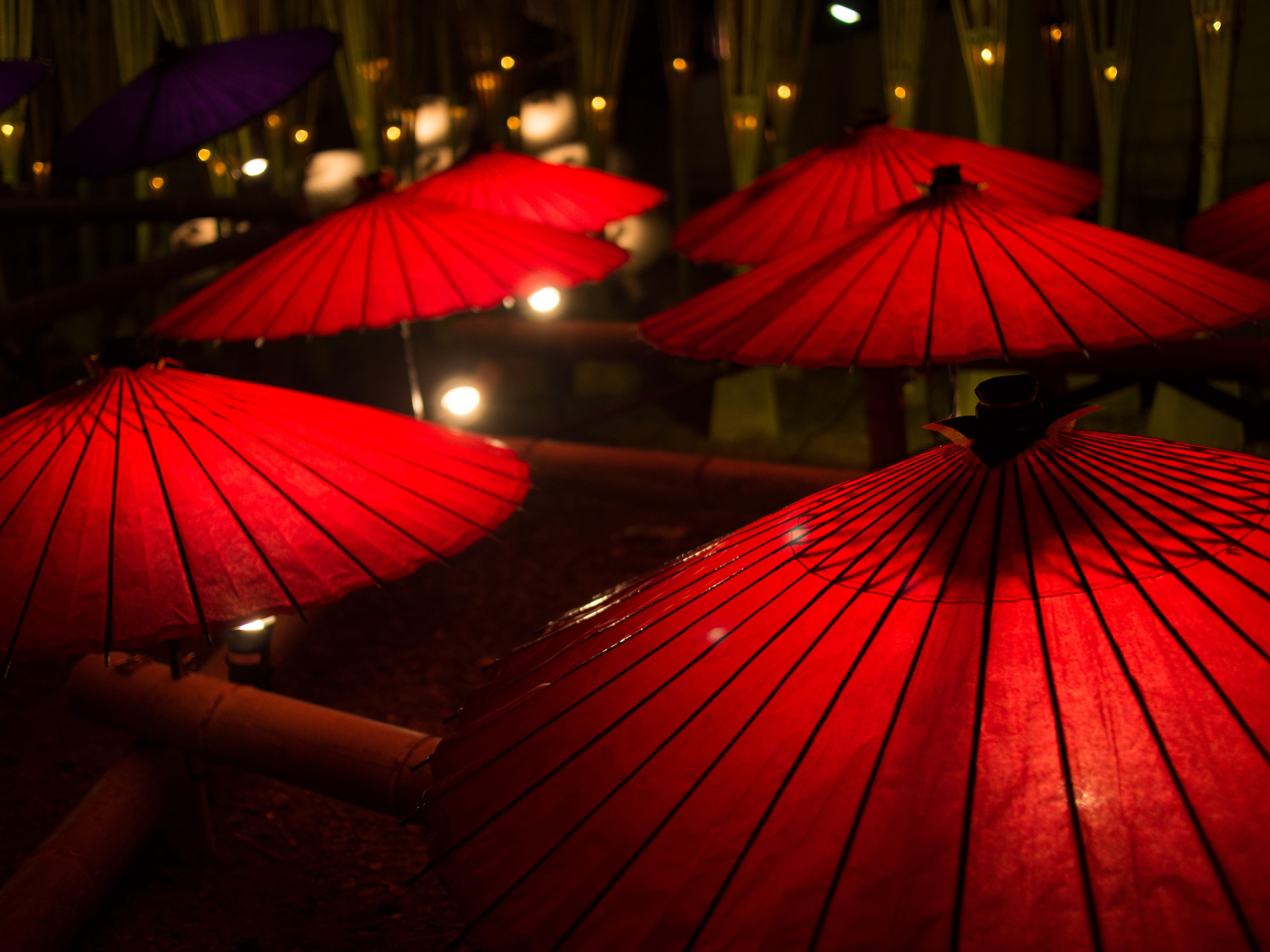 six red japanese umbrellas at nighttime, japanese style, k, yamaga city