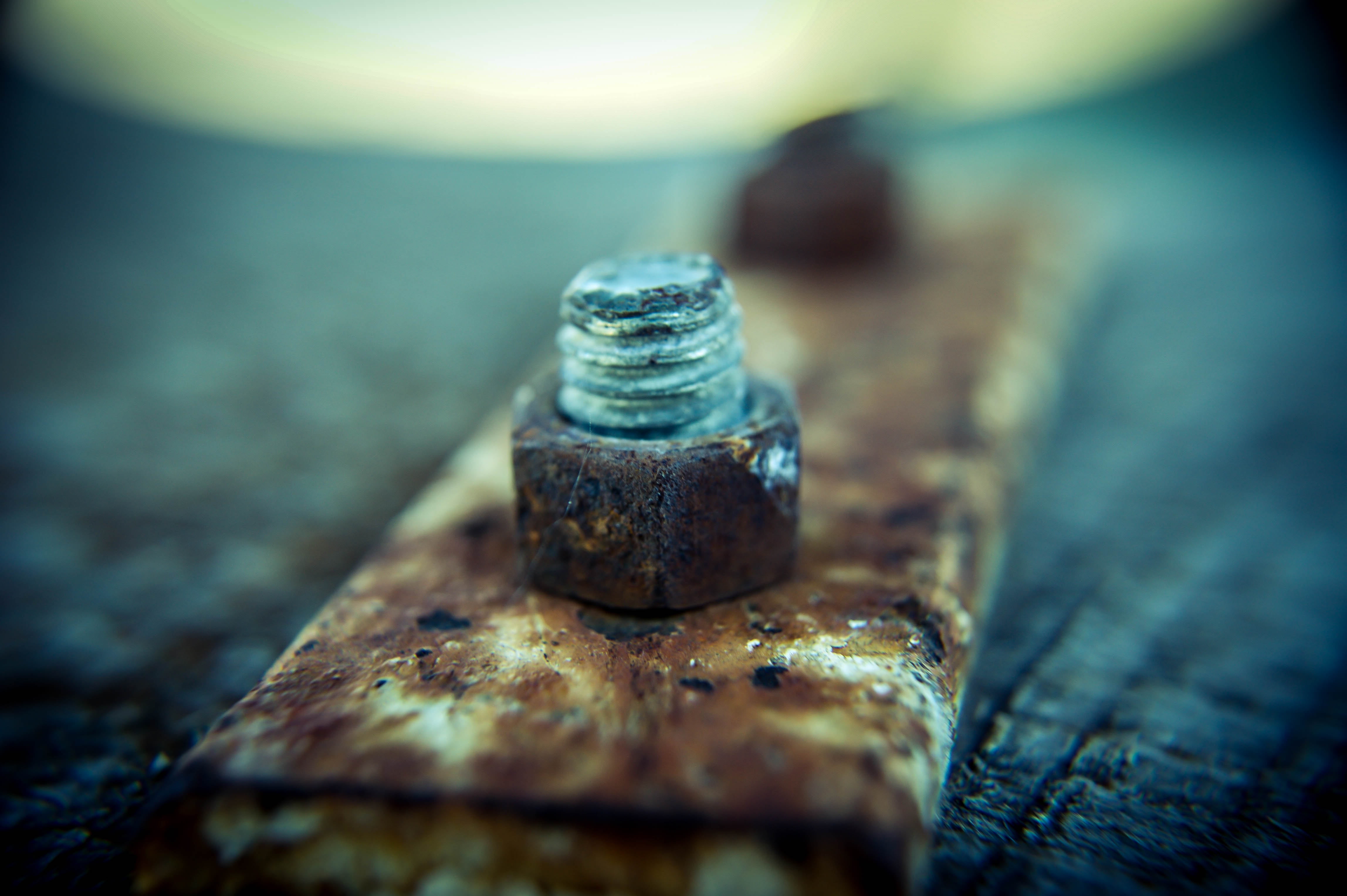 blur, close-up, focus, iron, macro, rust, rusty, screw, still life