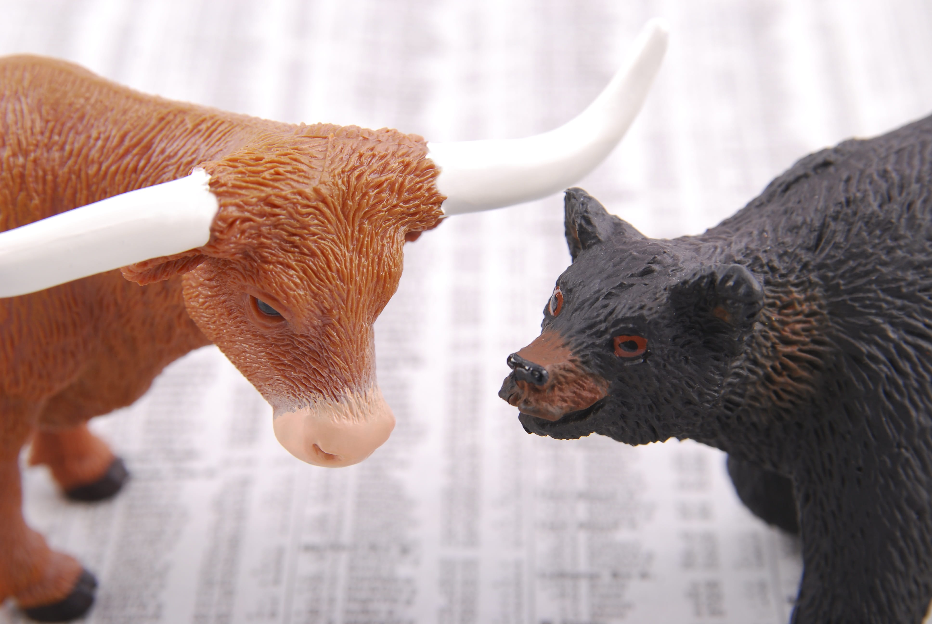 bull, bear, stock, market, business, finance, exchange, financial