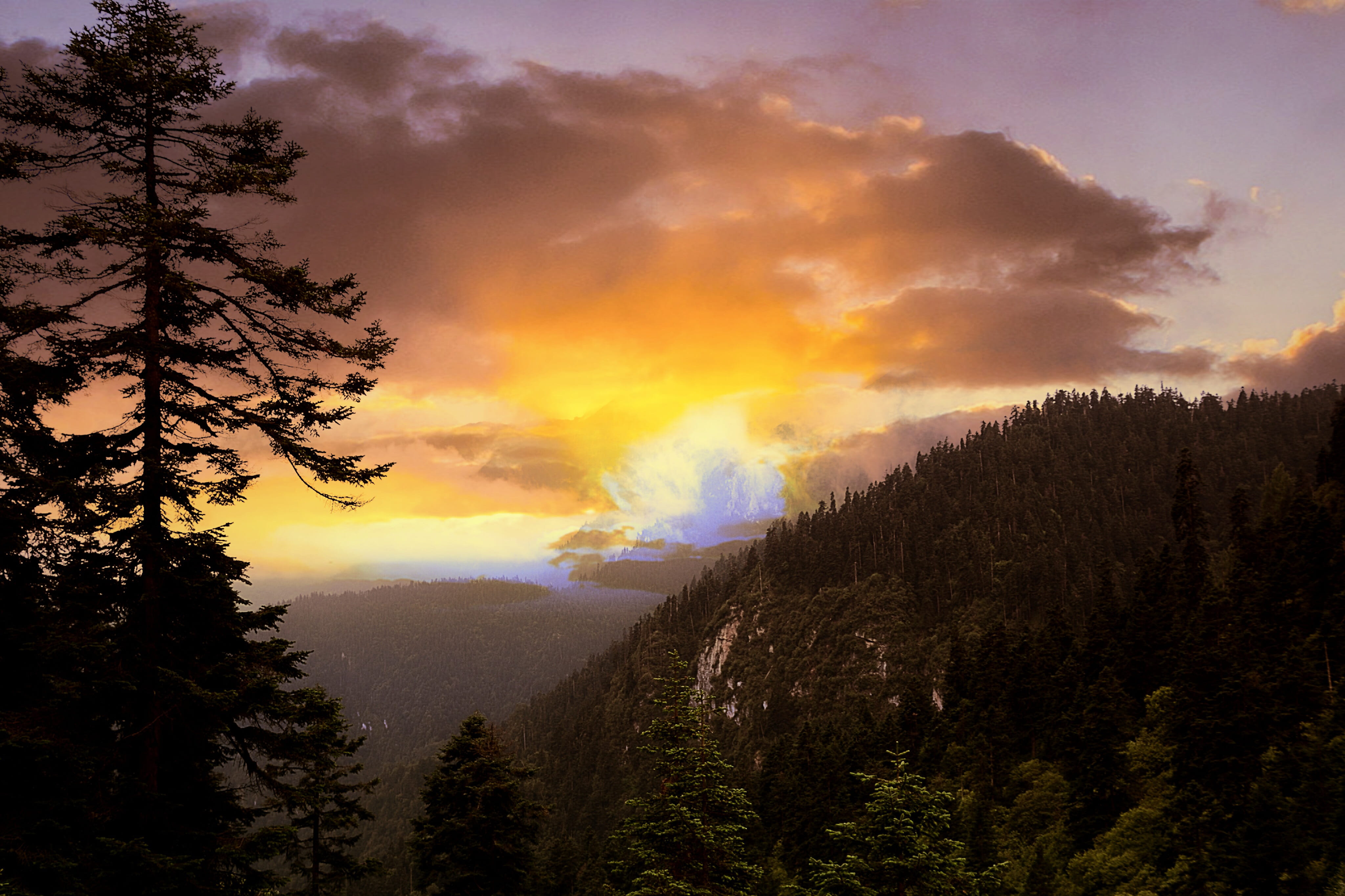 Mountain, Pine, Pine Tree, Twilight, Sunset, scenics, cloud - sky