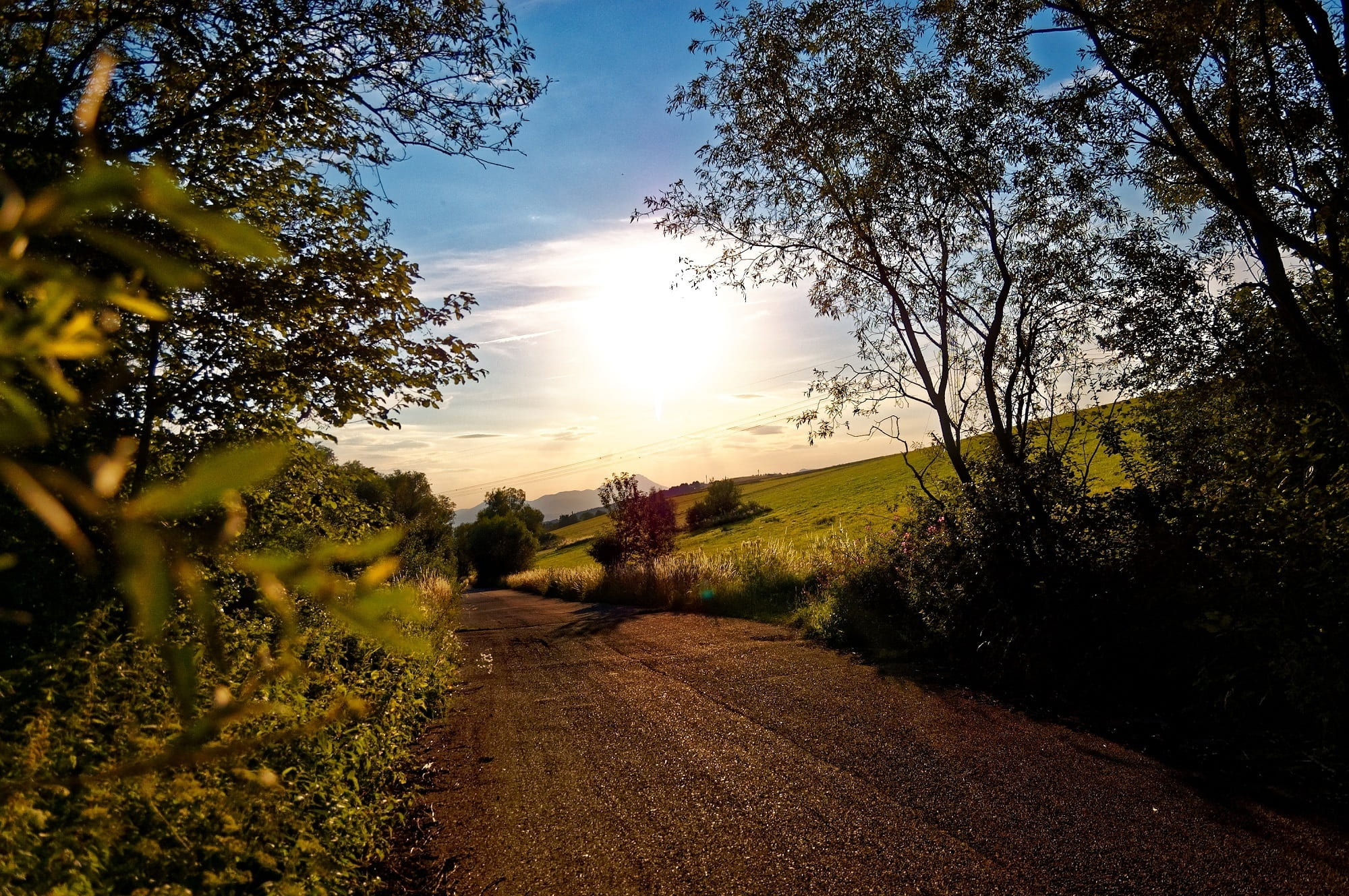 sun, trees, nature, rays, landscape, path, shadow, heaven, clouds
