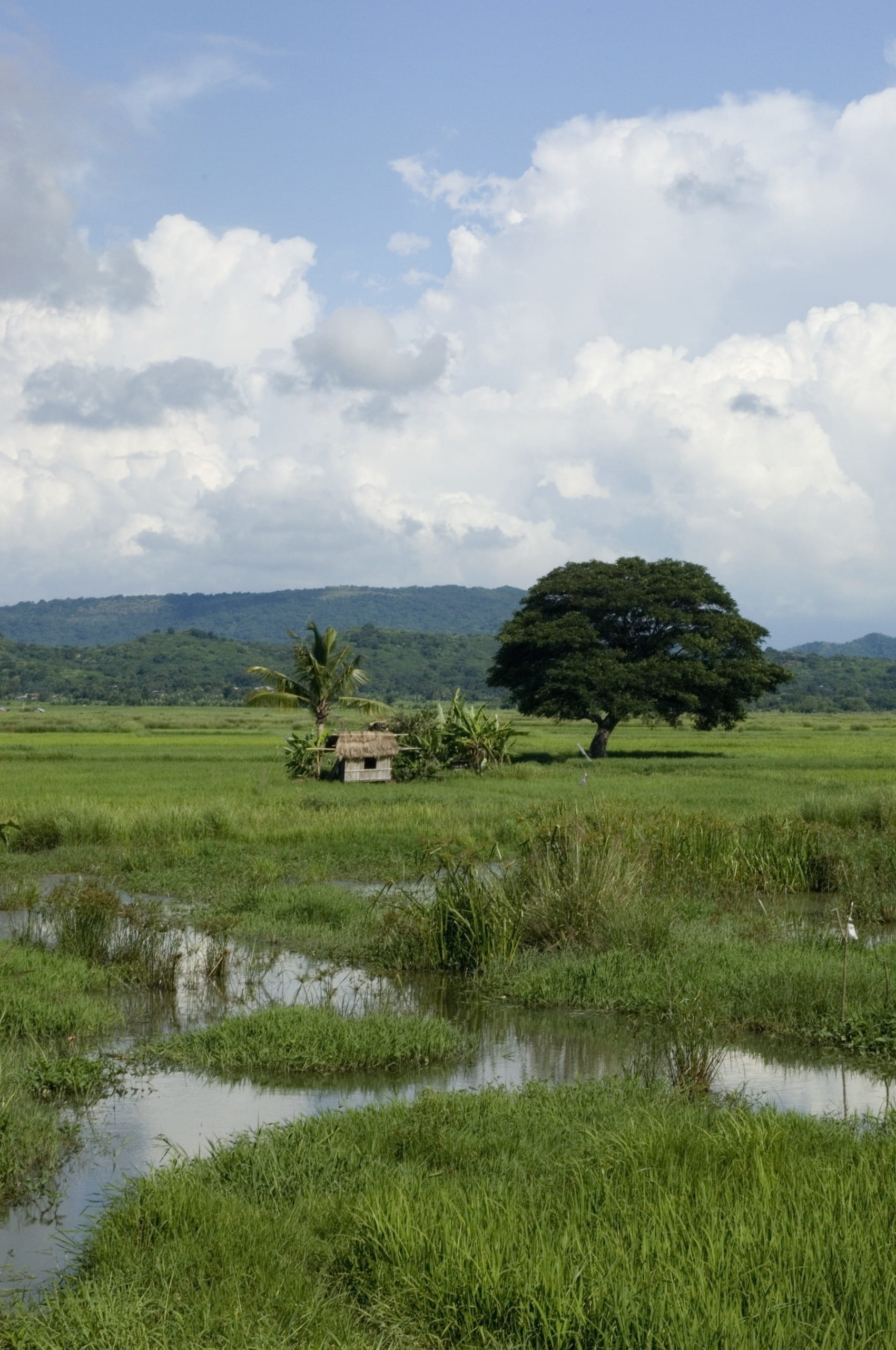 Philippines, Landscape, Clouds, sky, mountains, forest, trees