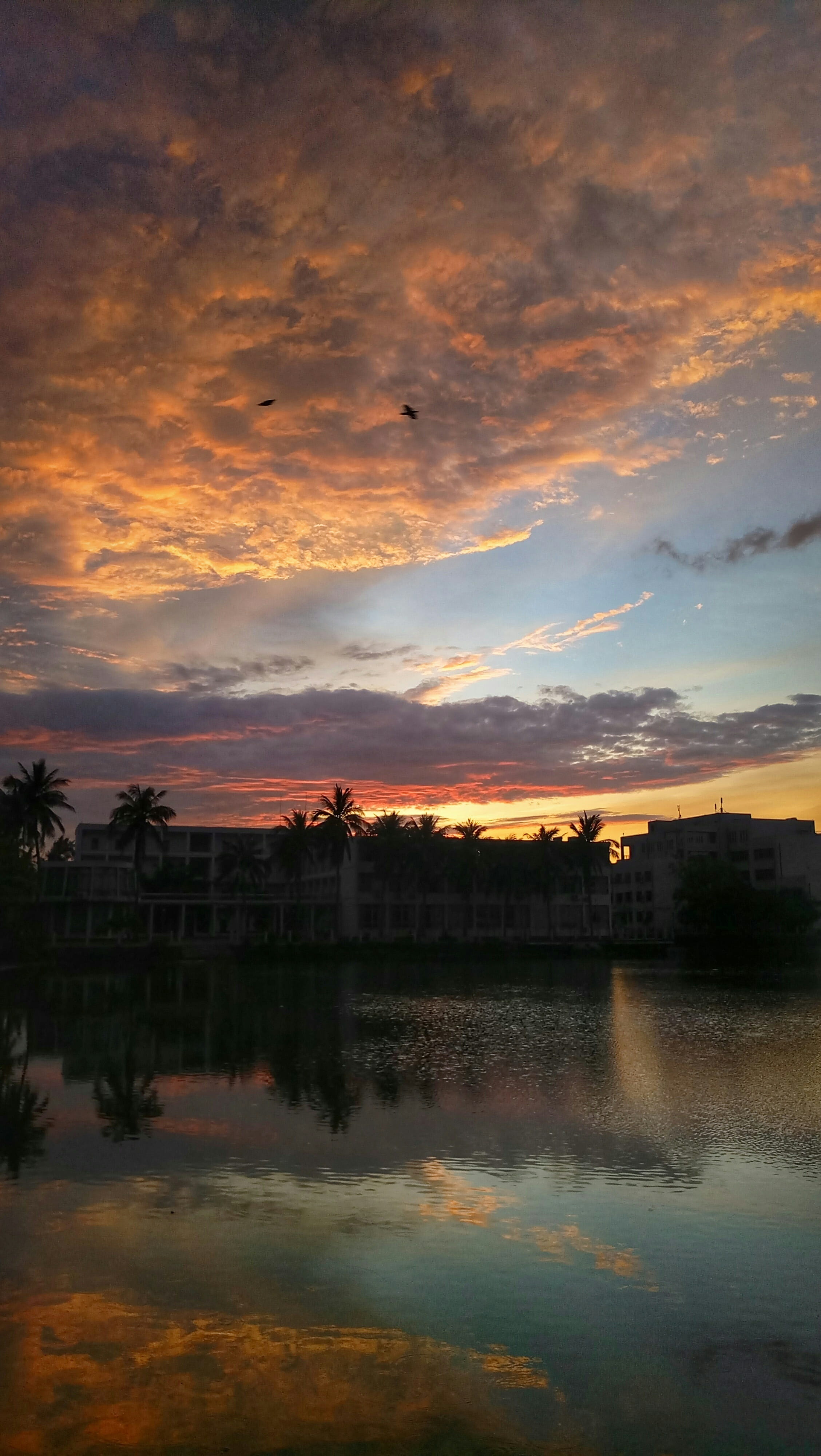 Scenery, Cloud, the scenery, sky, sunset, reflection, water