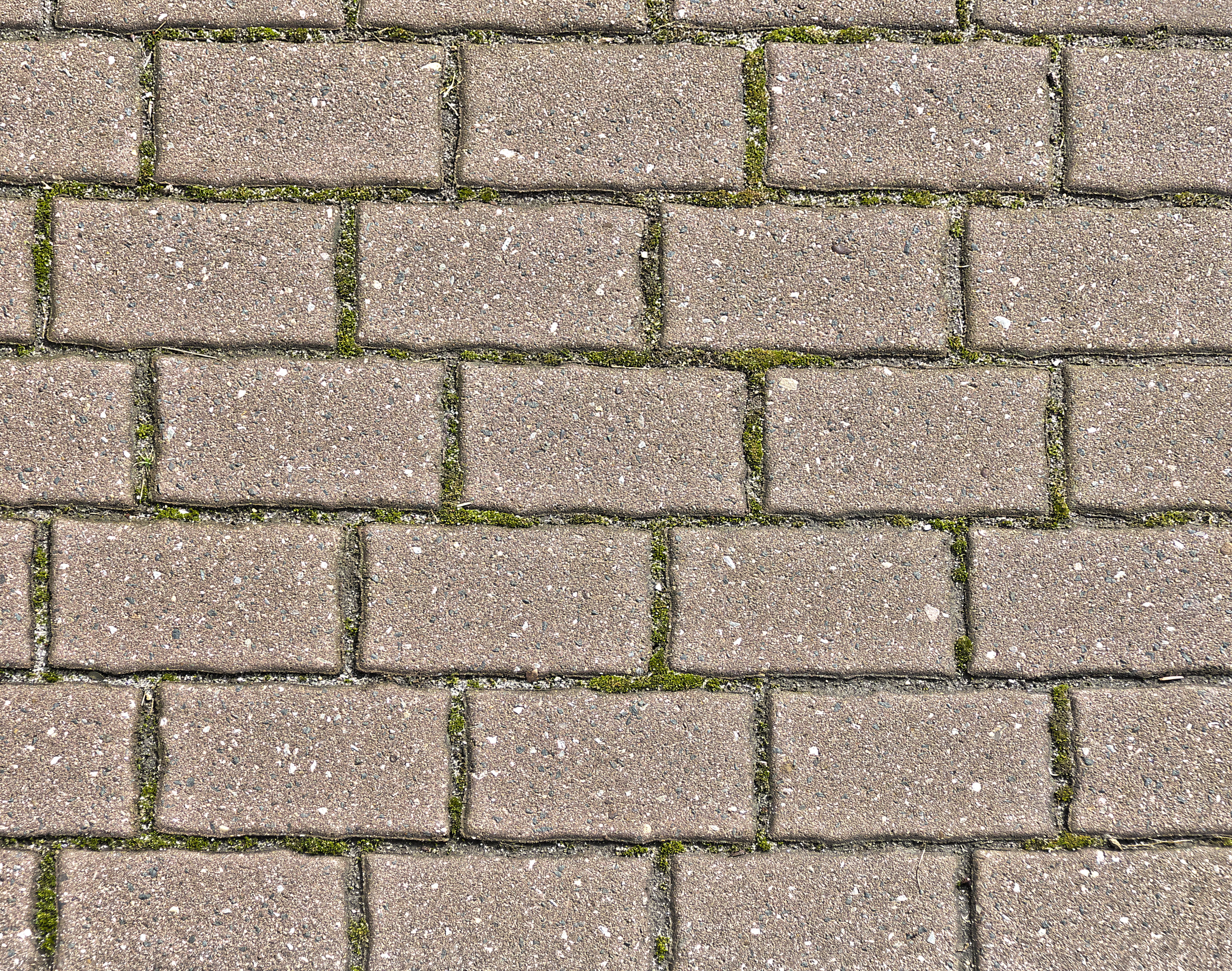 concrete paving, paving stones, flooring, concrete block, patch