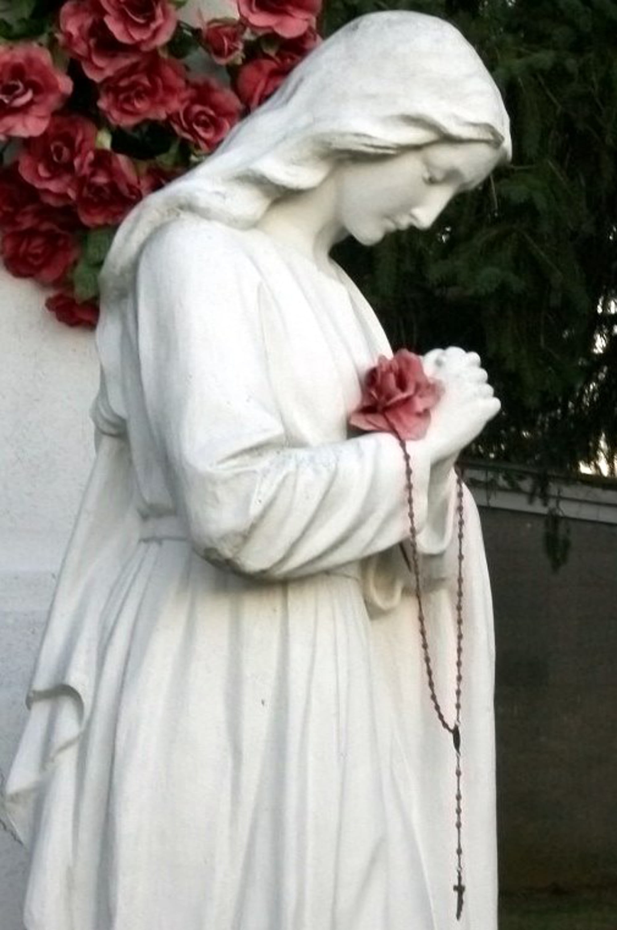 Mary, Virgin, Religion, Madonna, Pray, statue, spiritual, woman