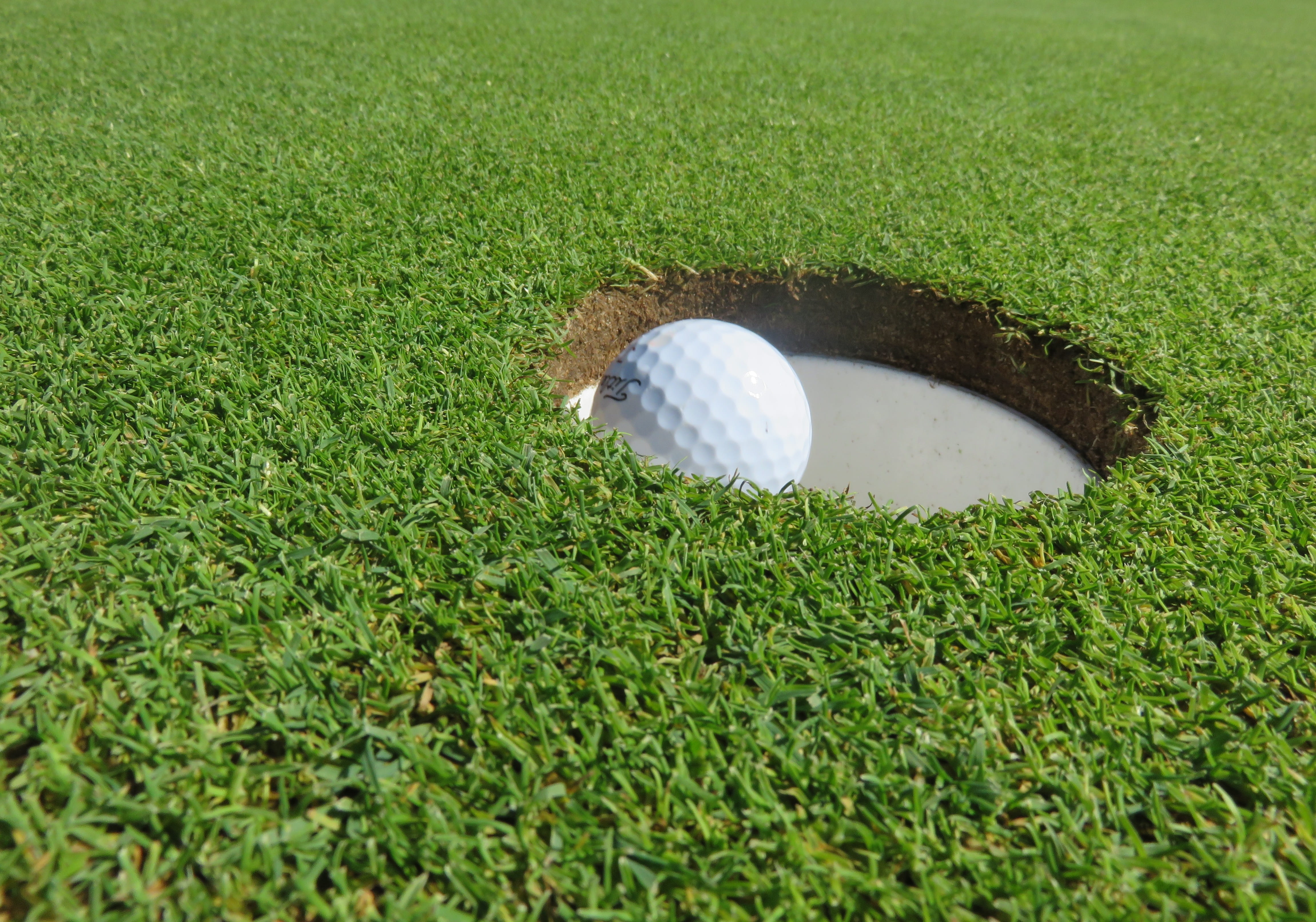 white golf ball on hole during daytime, eingelocht, putting-green