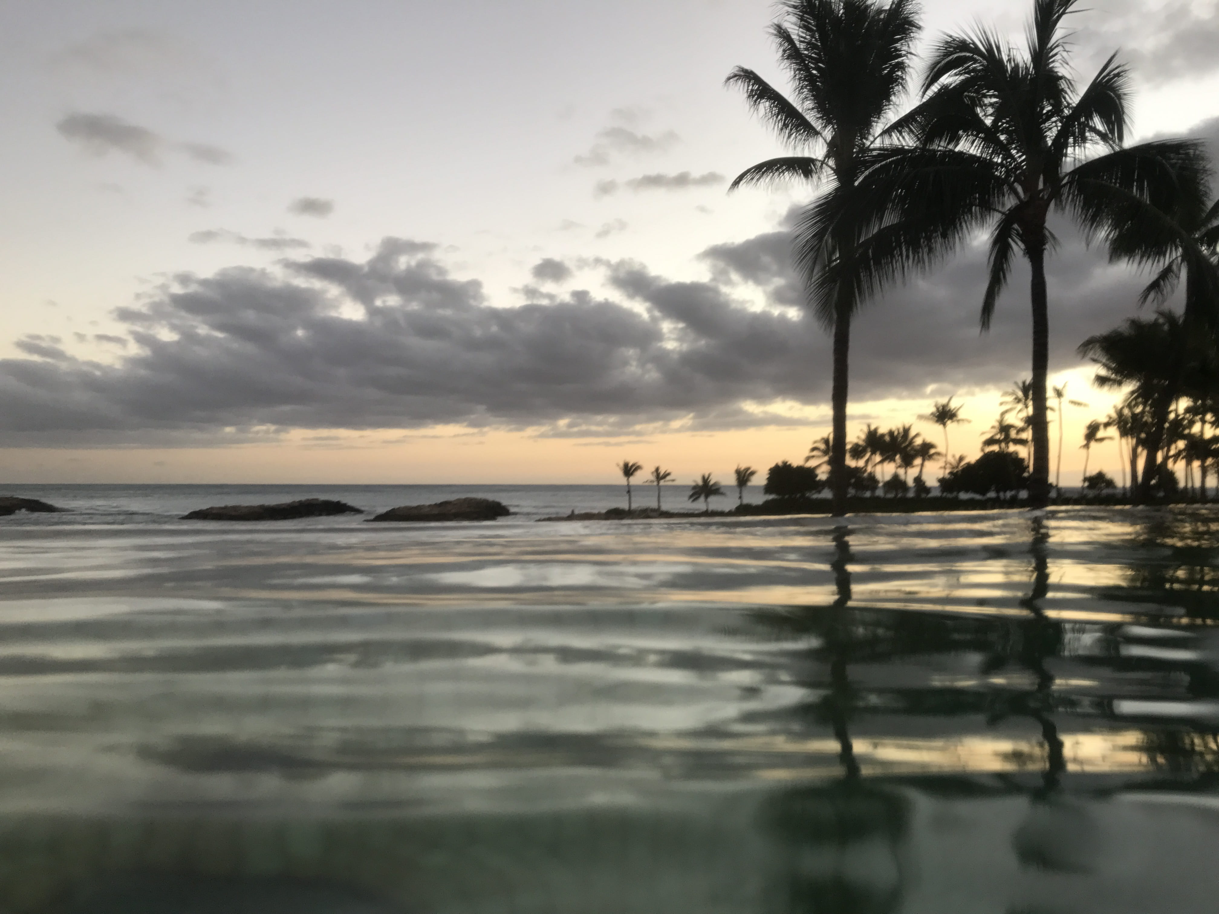Infinite, Pool, Beach, Clouds, infinite pool, palm tree, reflection
