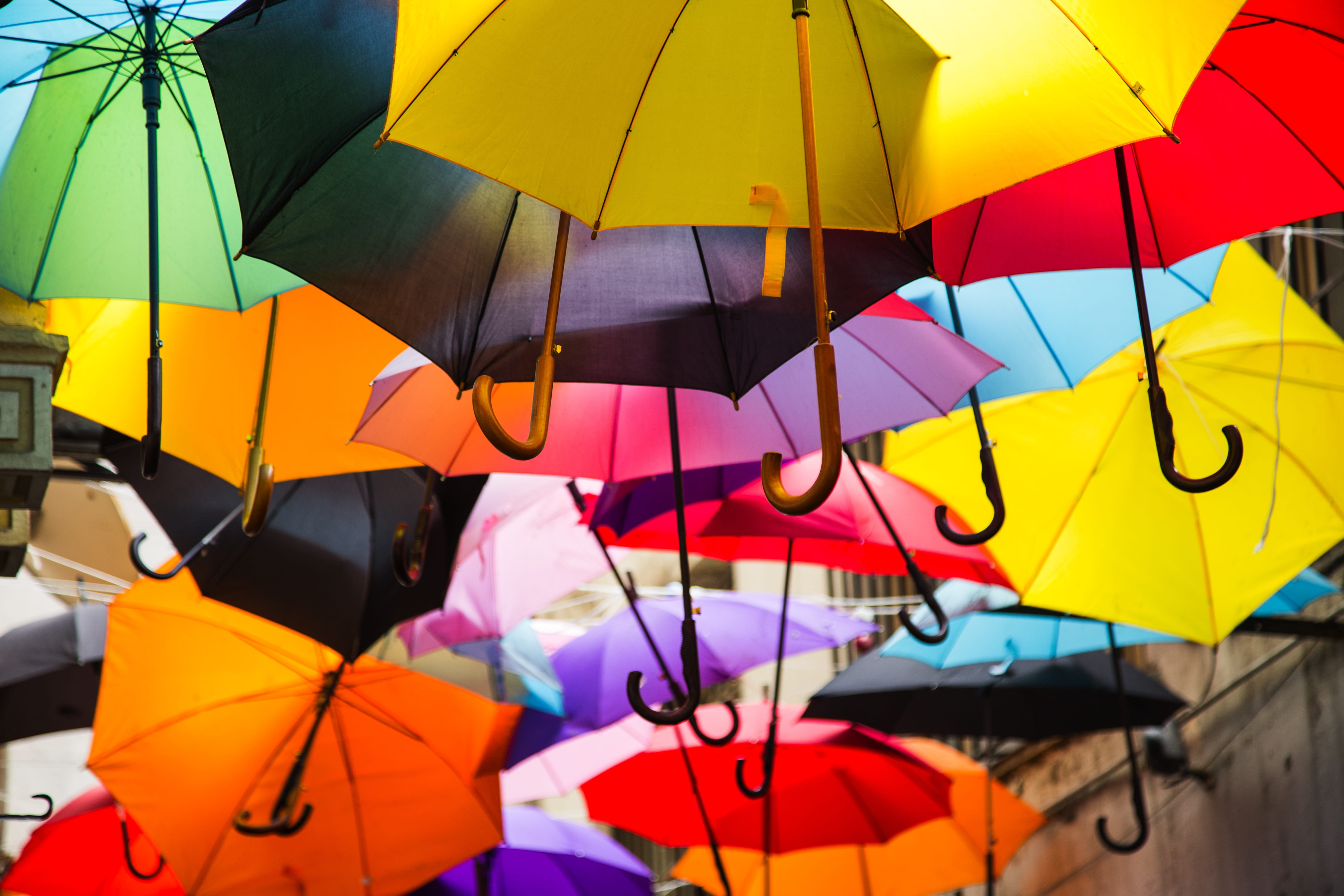 close up photography of umbrellas, landscape, red, winter, yellow