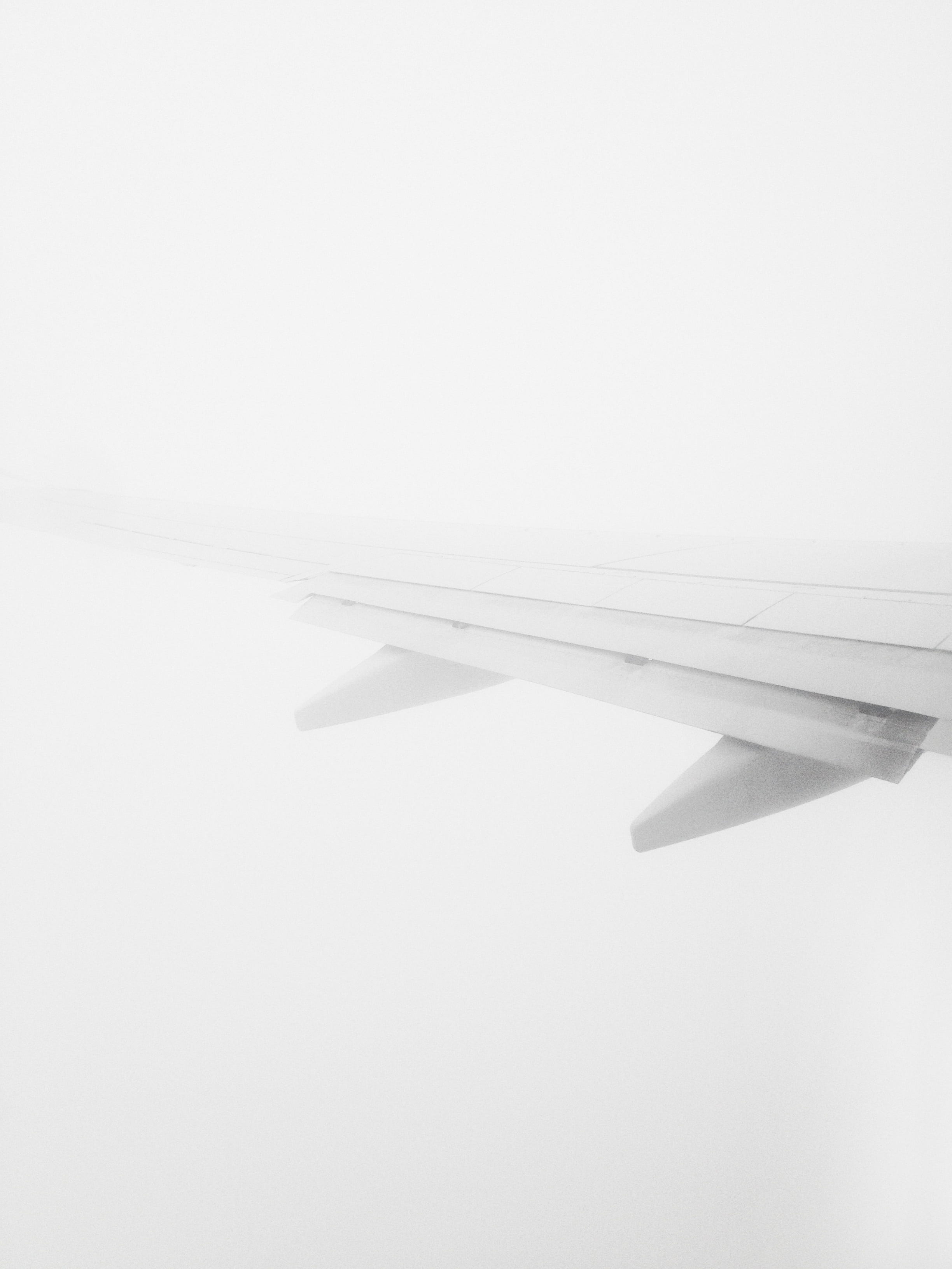 transportation, airplane, flight, technology, wings, still