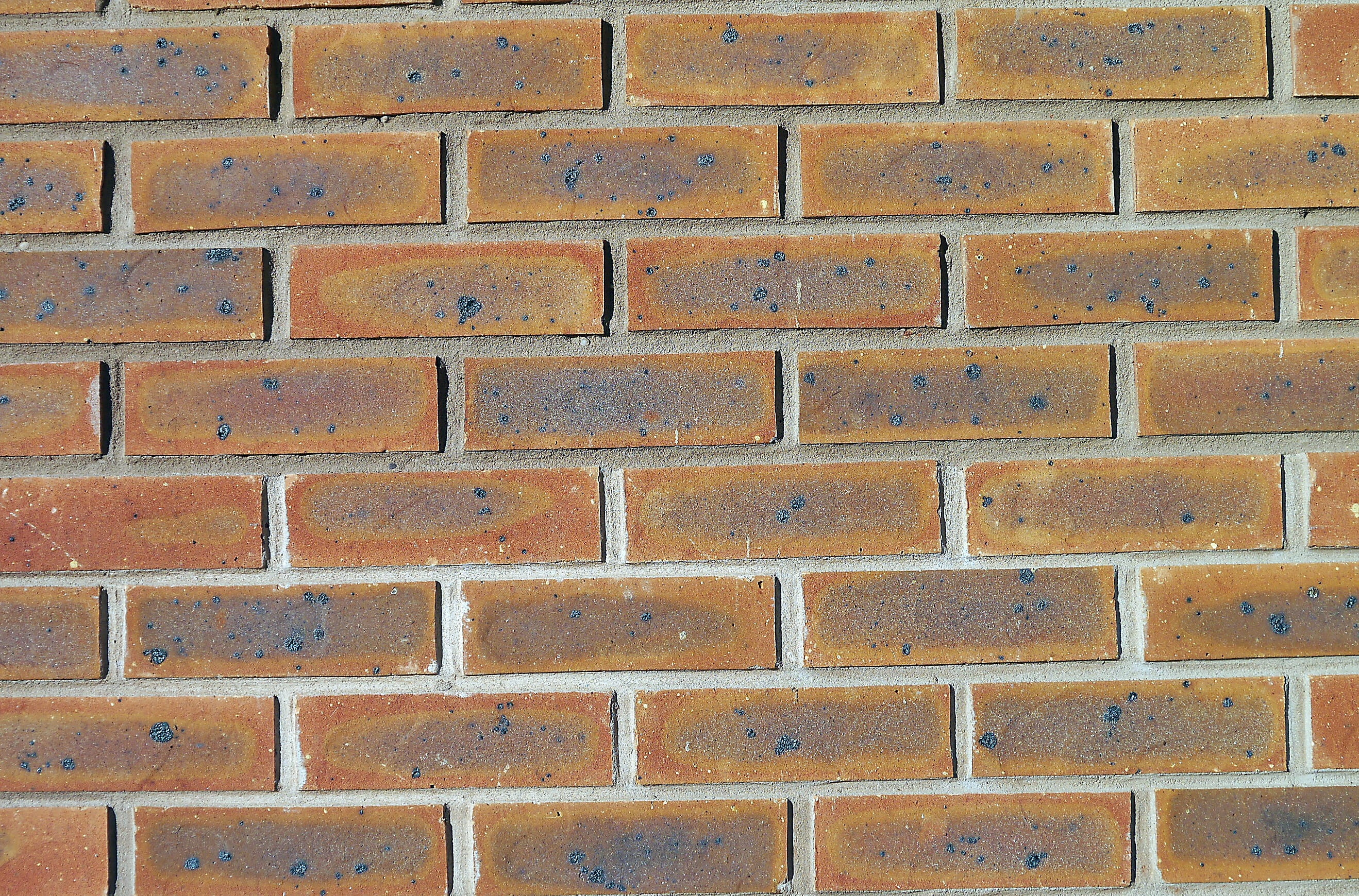 Brickwall, Brickwork, Bricks, block, texture, backdrop, building