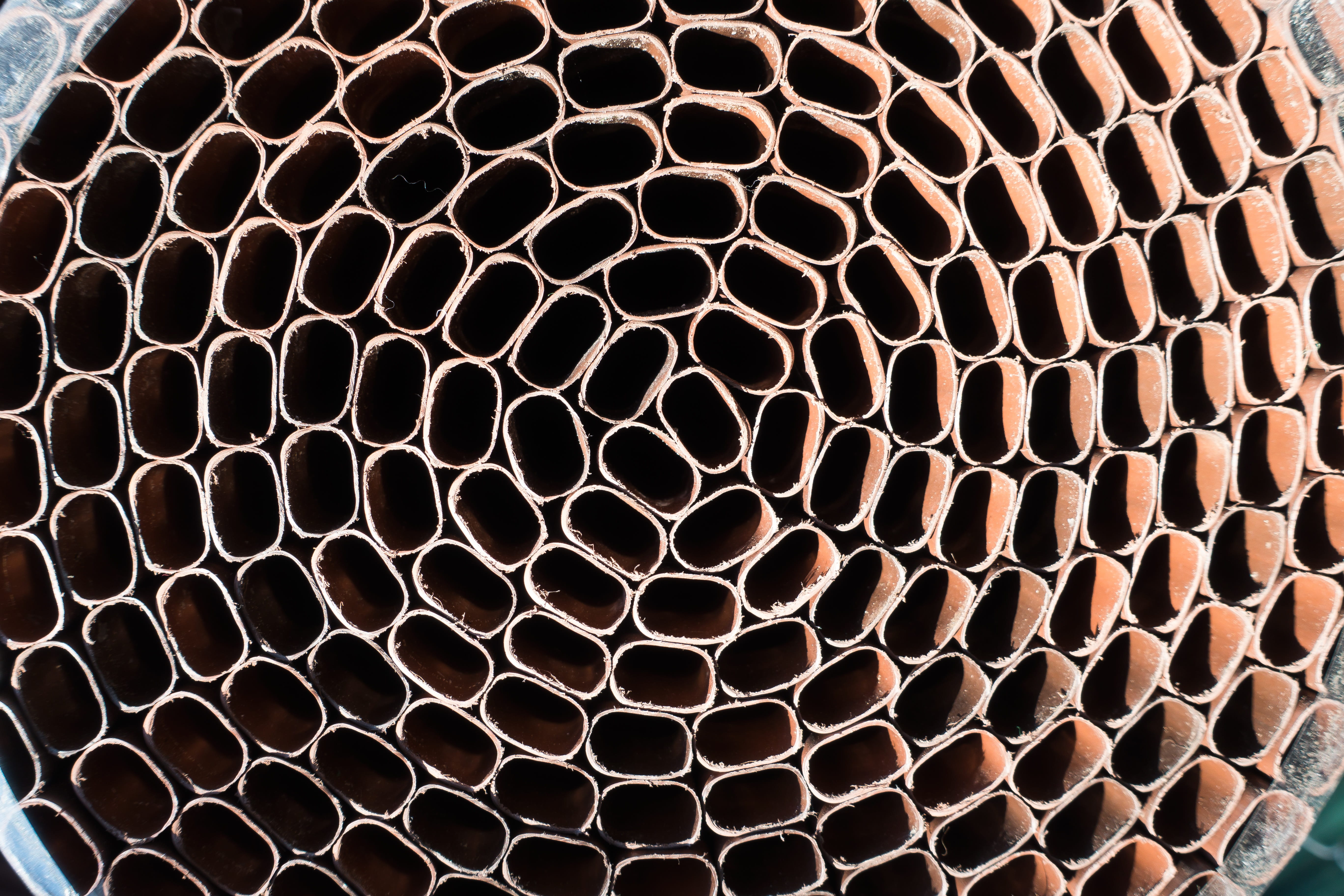 Structure, Concentric, Pattern, Oval, about, form, abstract