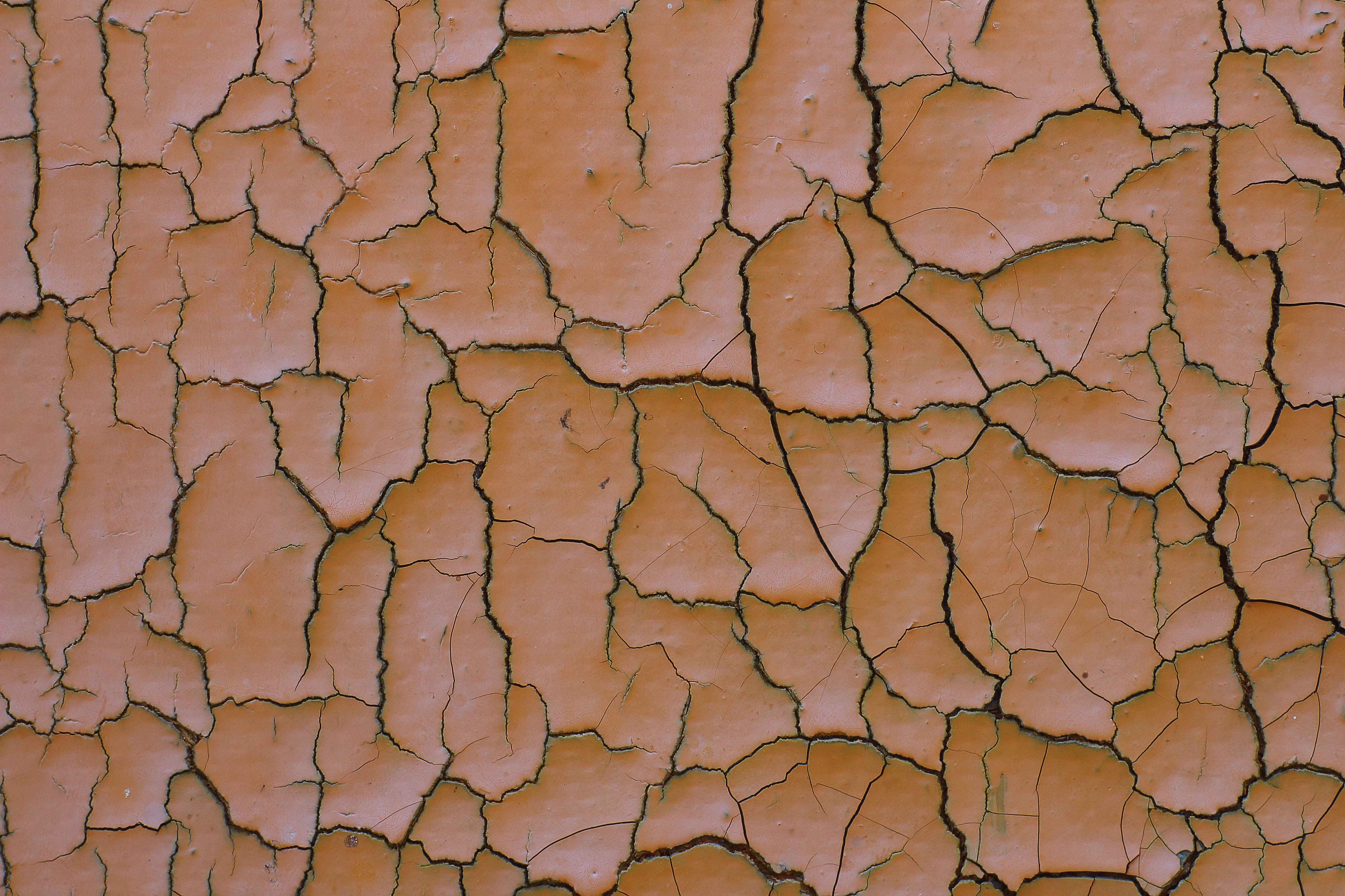 template, texture, background, surface, uneven, dry, paint