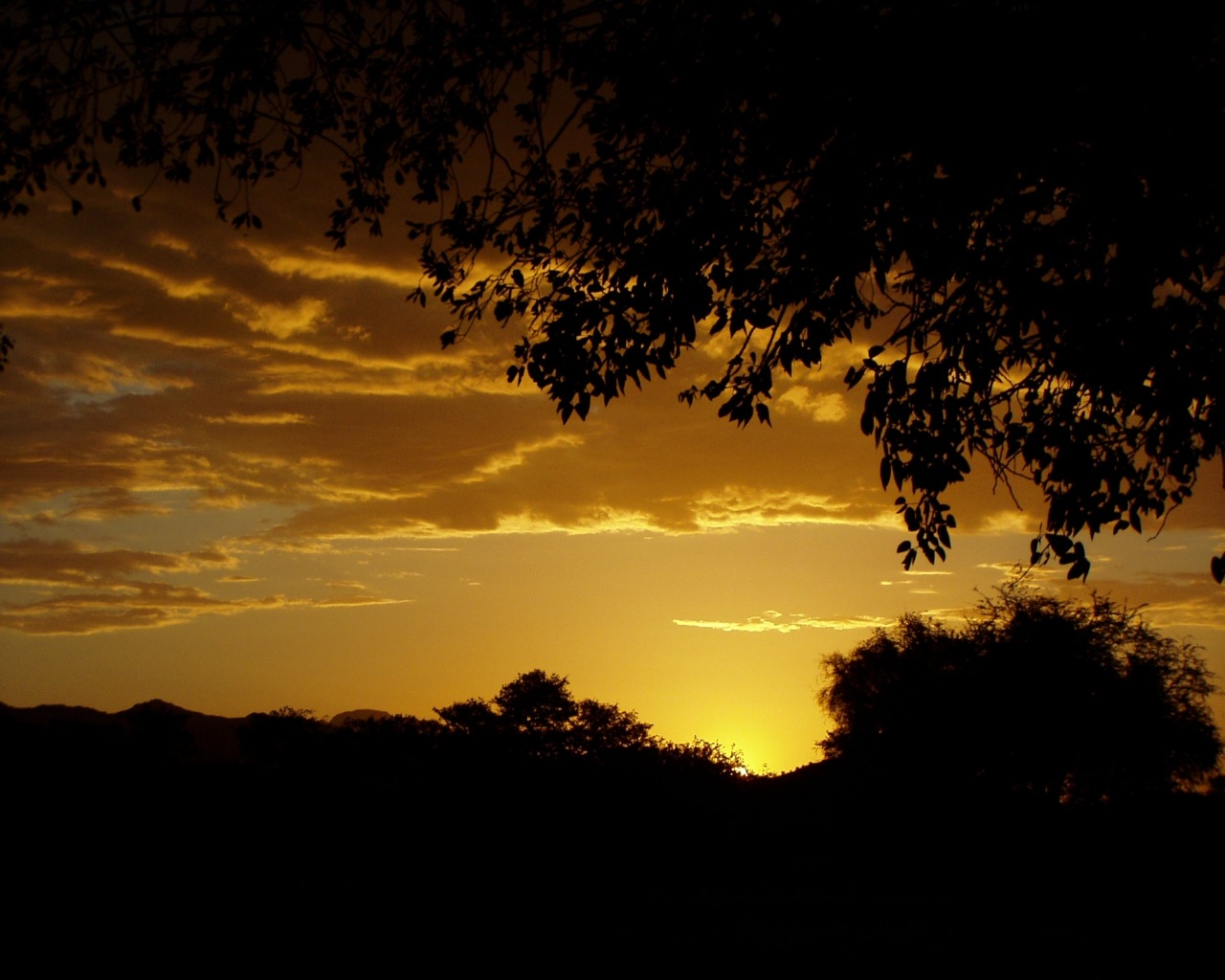 sunset, abendstimmung, clouds, romance, tree, silhouette, sky