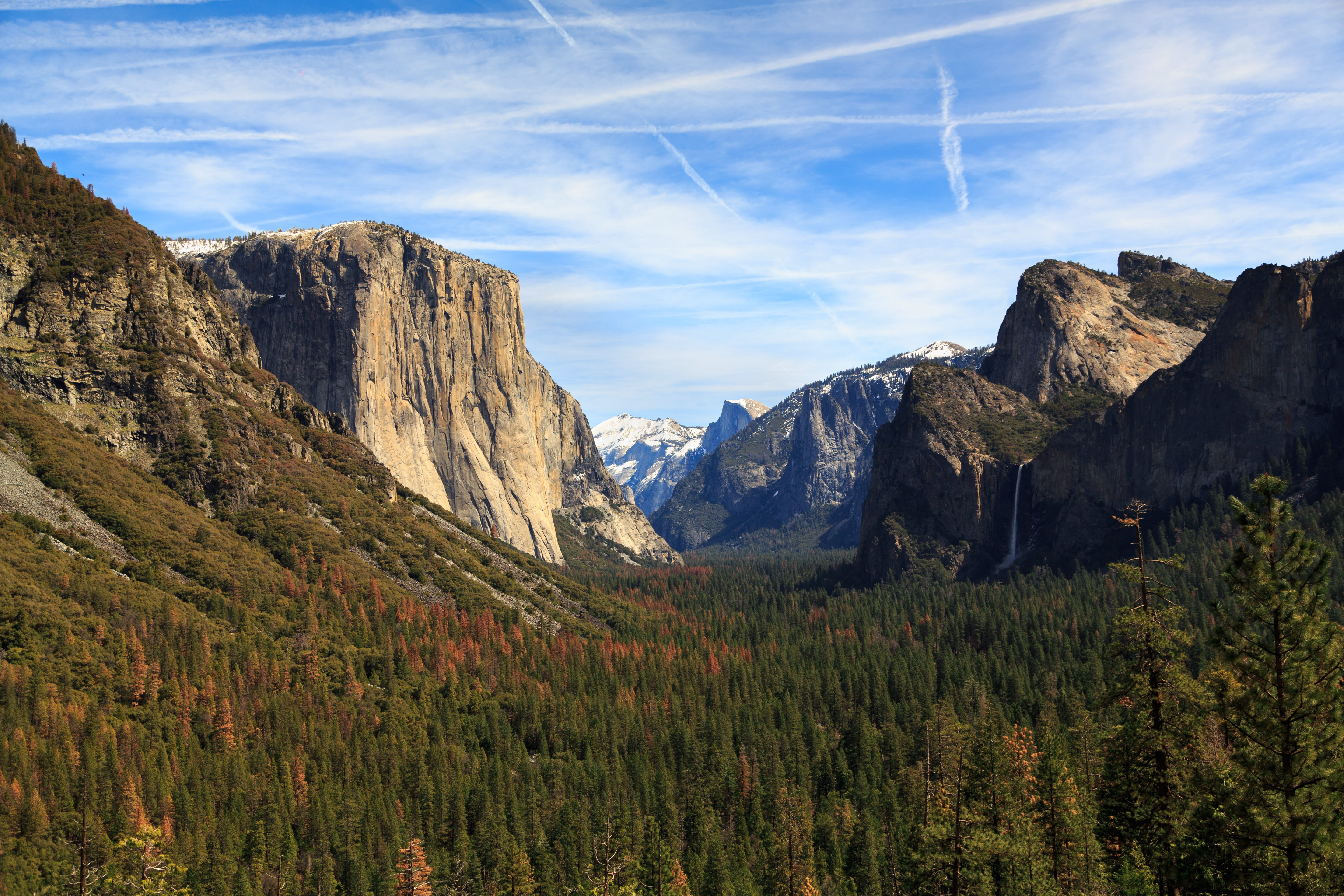 forest, mountain range, mountains, nature, sky, trees, environment