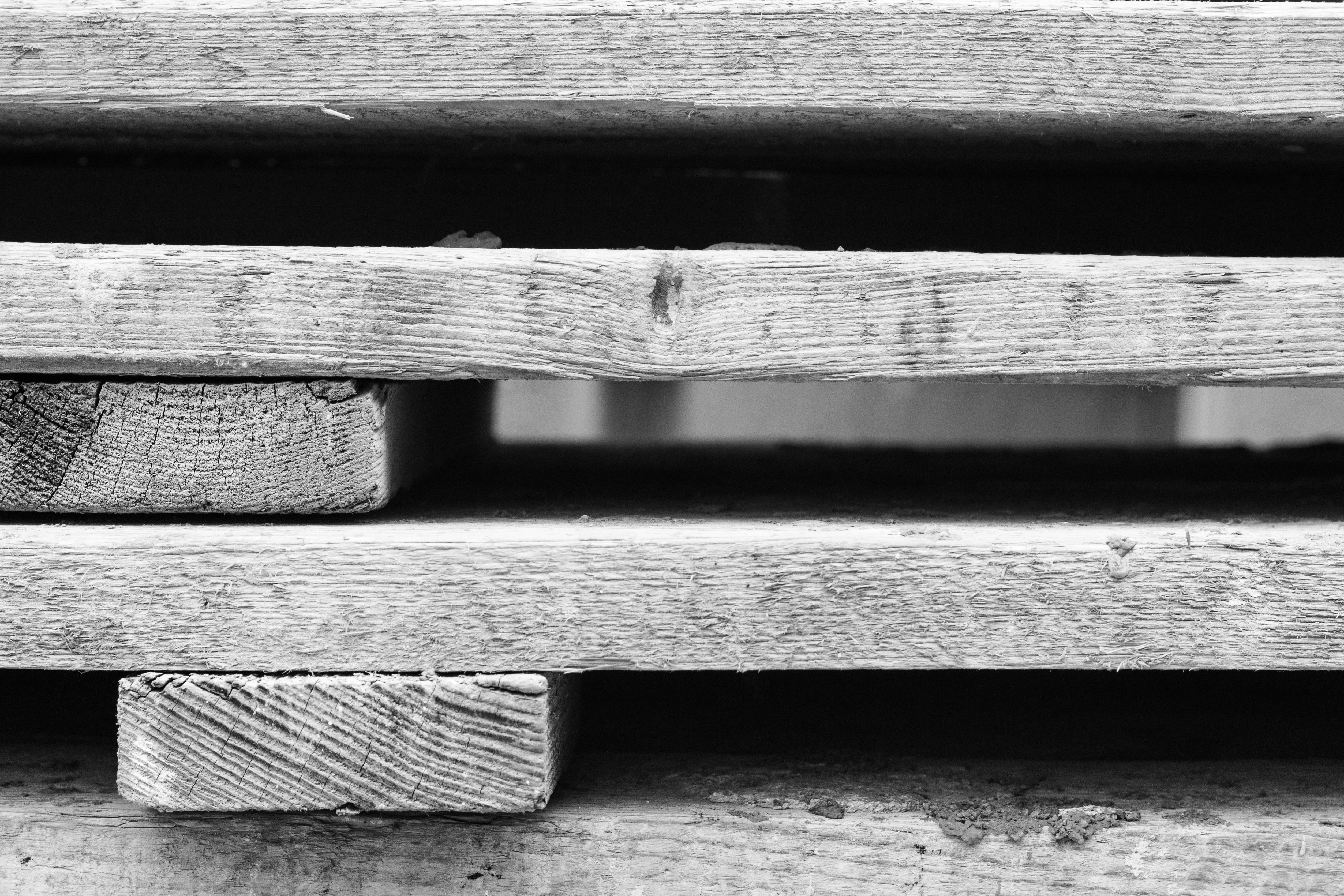 grayscale photo of wooden pallet, building, work, leaves, pallets