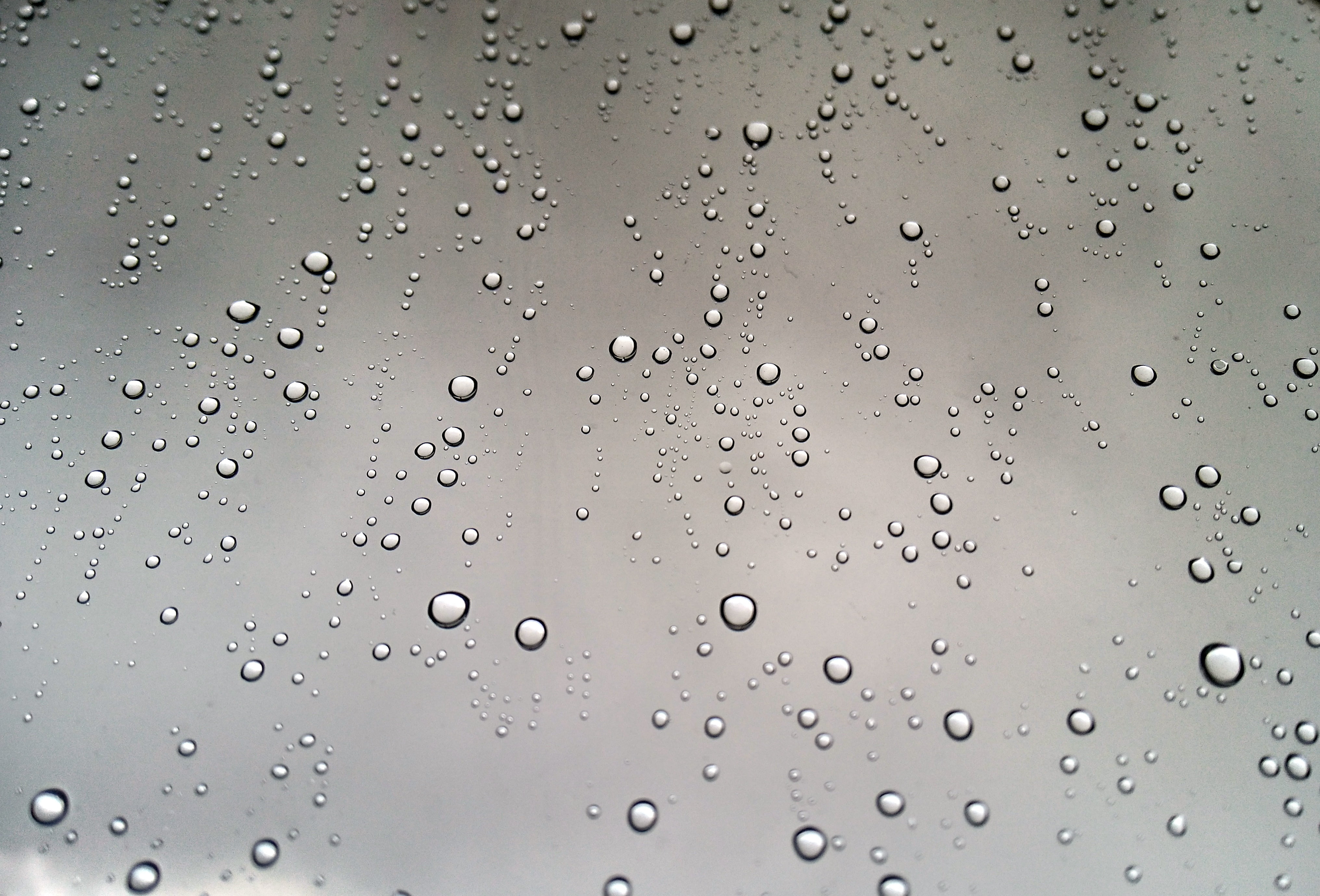 water droplets, rain, cloud, drops, cold, grey, white, storm