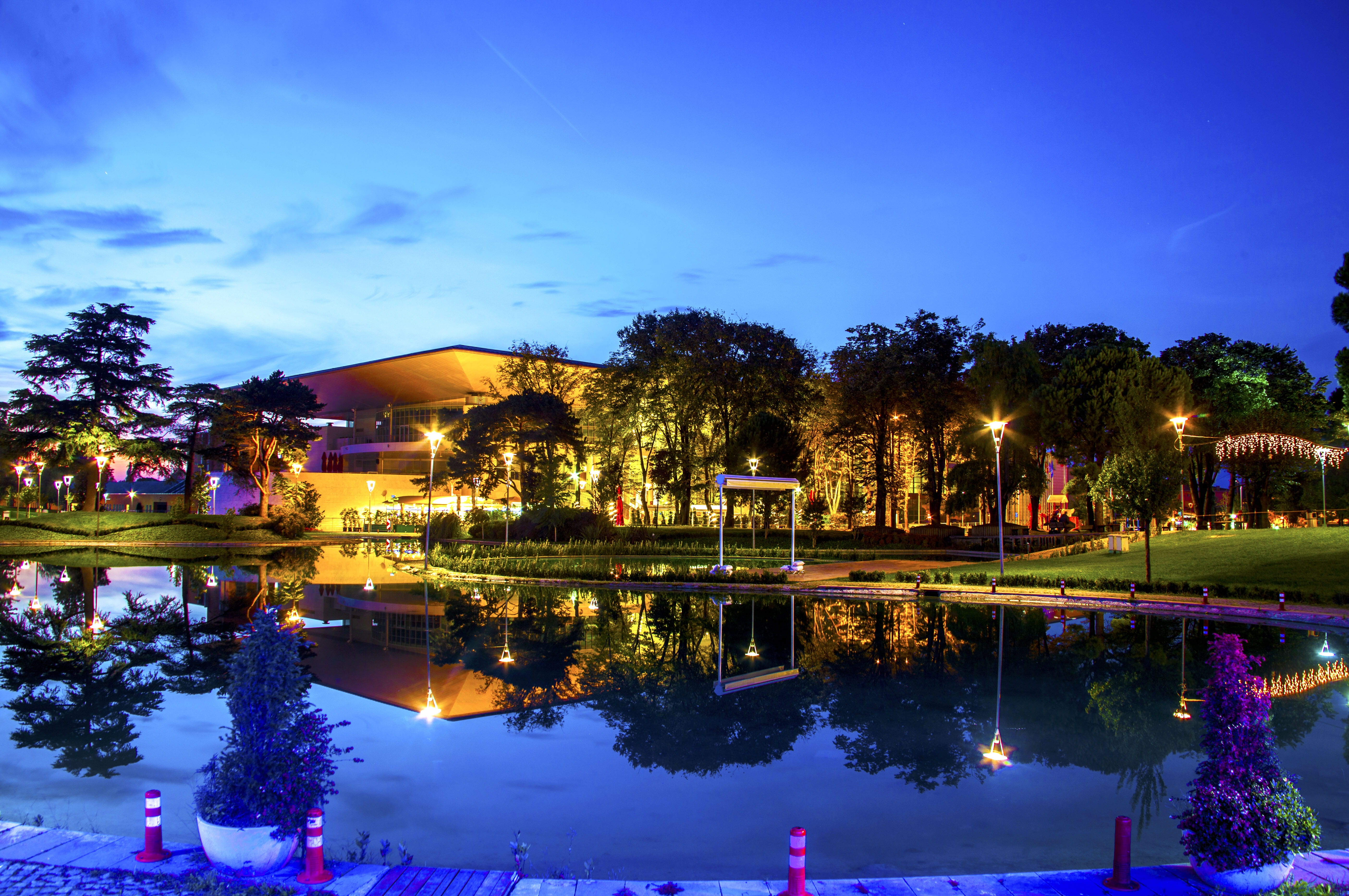 night, the mirror, reflection, lights, nature, landscape, tree