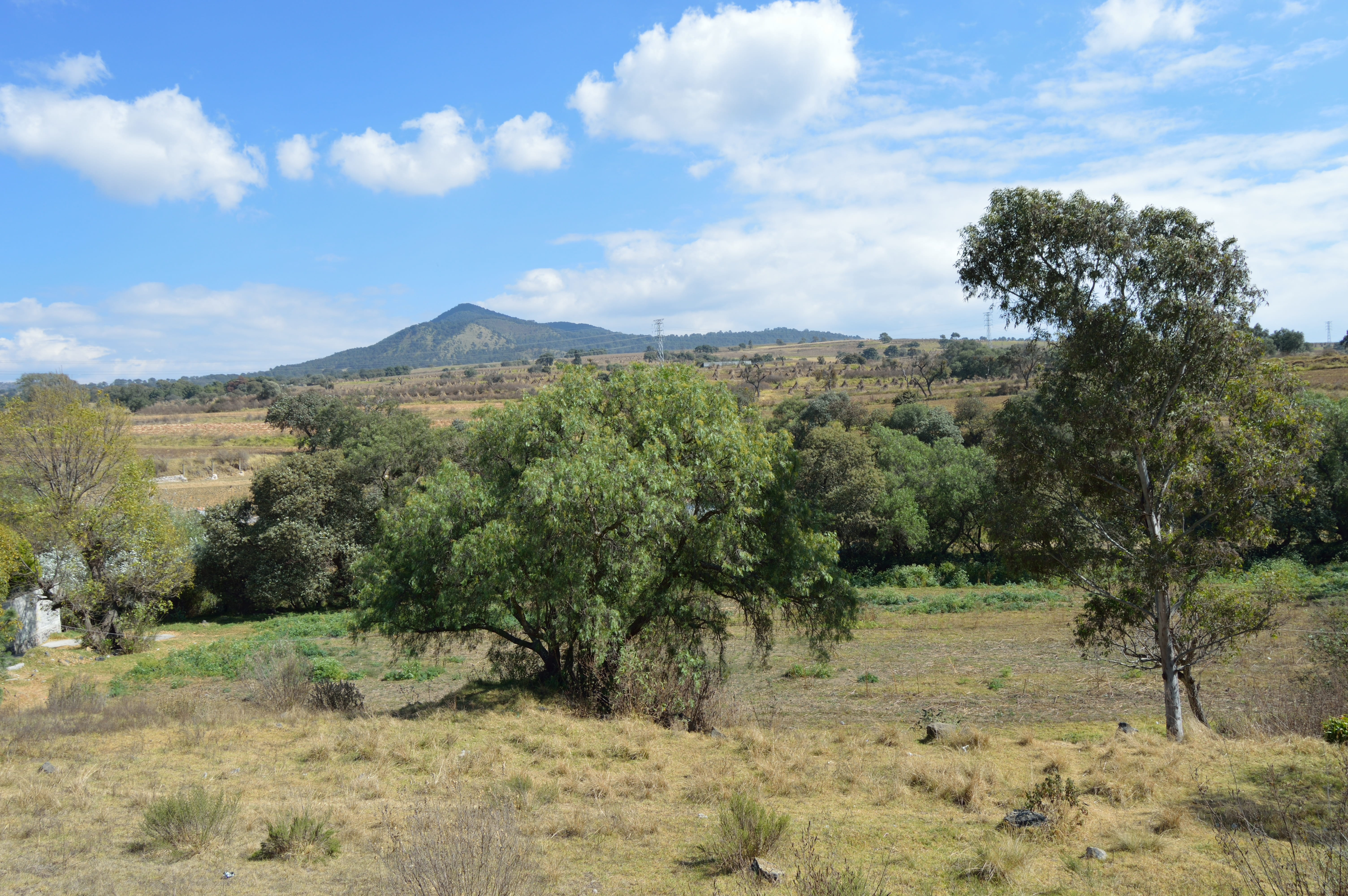Landscape, Clouds, Nature, Views, sky, scenics, tree, cloud - sky