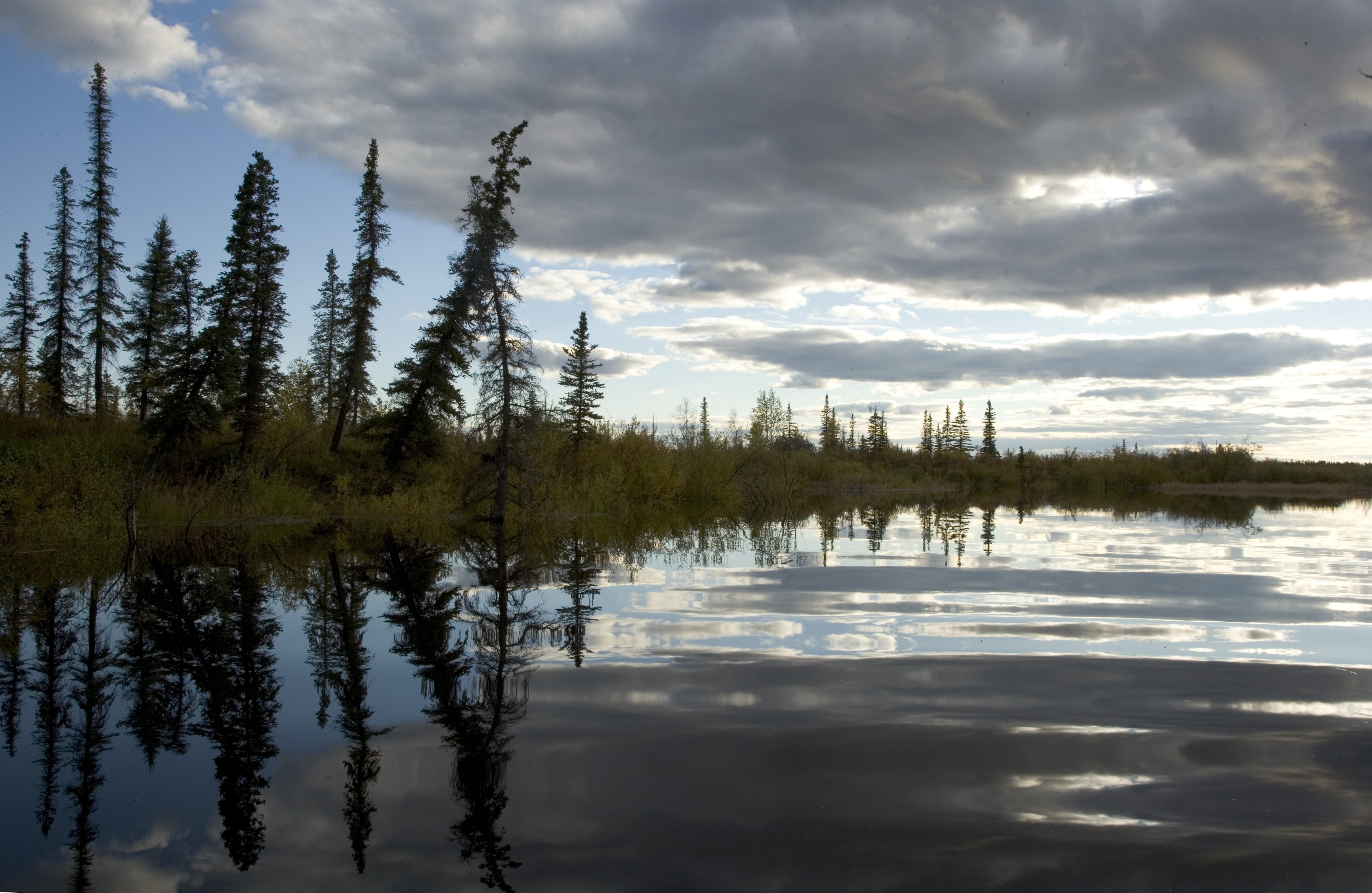 lake, reflection, trees, landscape, scenic, clouds, sunset