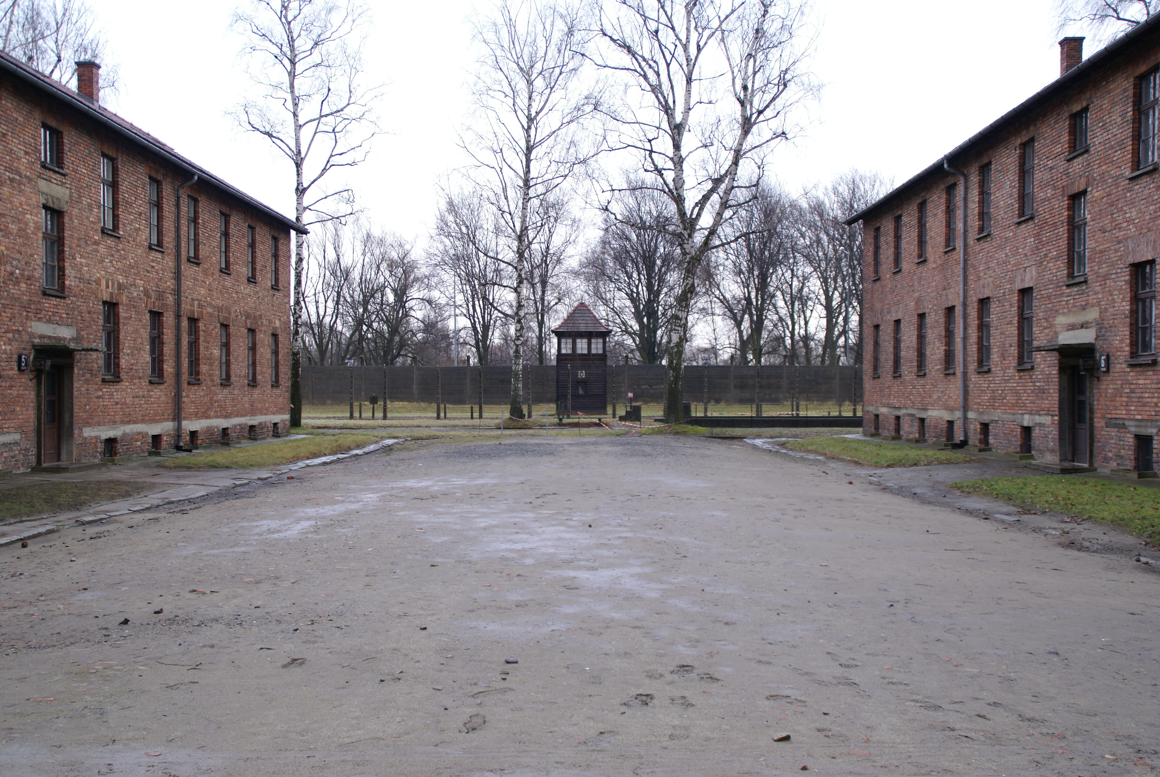 auschwitz, concentration camp, second world war, auschwitz-birkenau