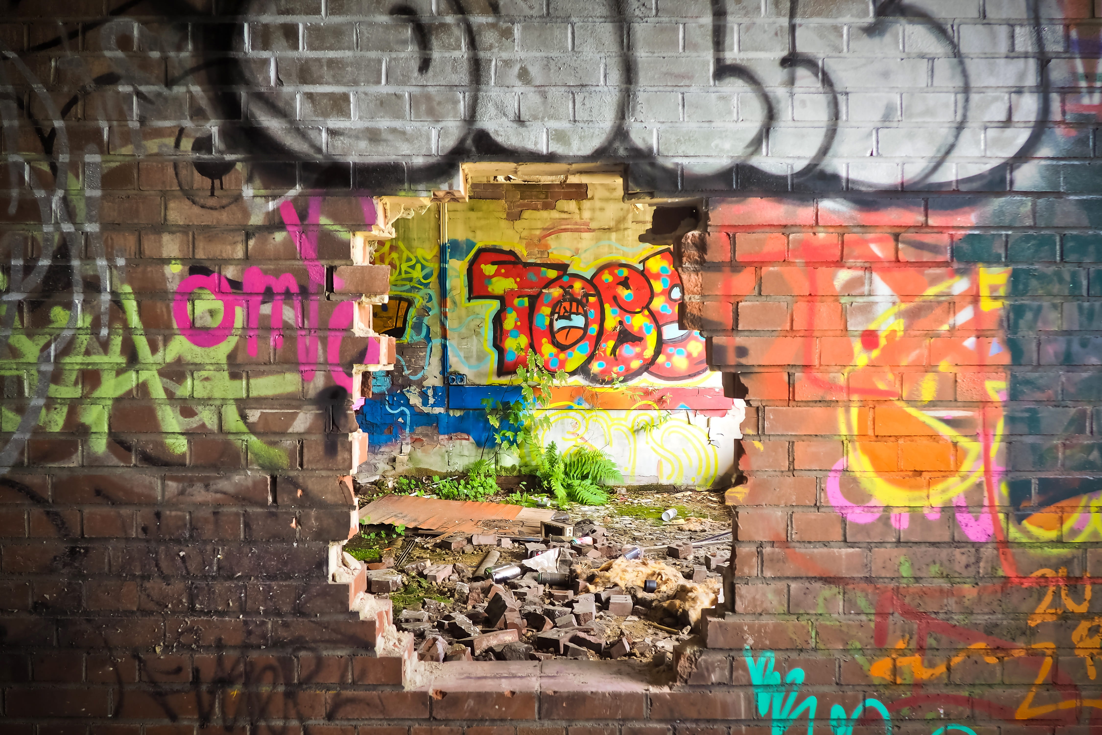 walls with graffiti, lost places, rooms, leave, pforphoto, old