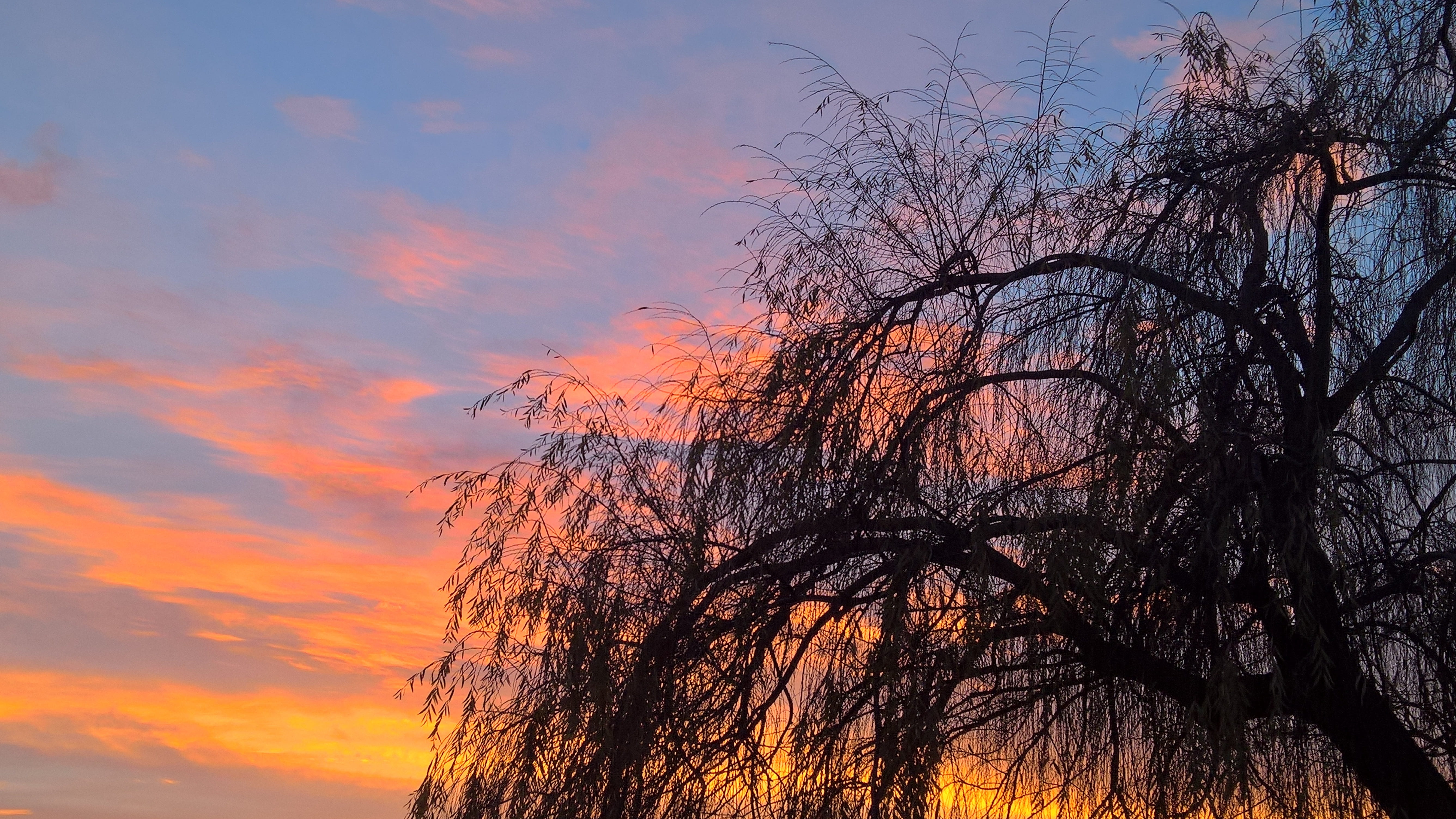 nature, tree, twilight, landscape, sun, sunset, clouds, sky