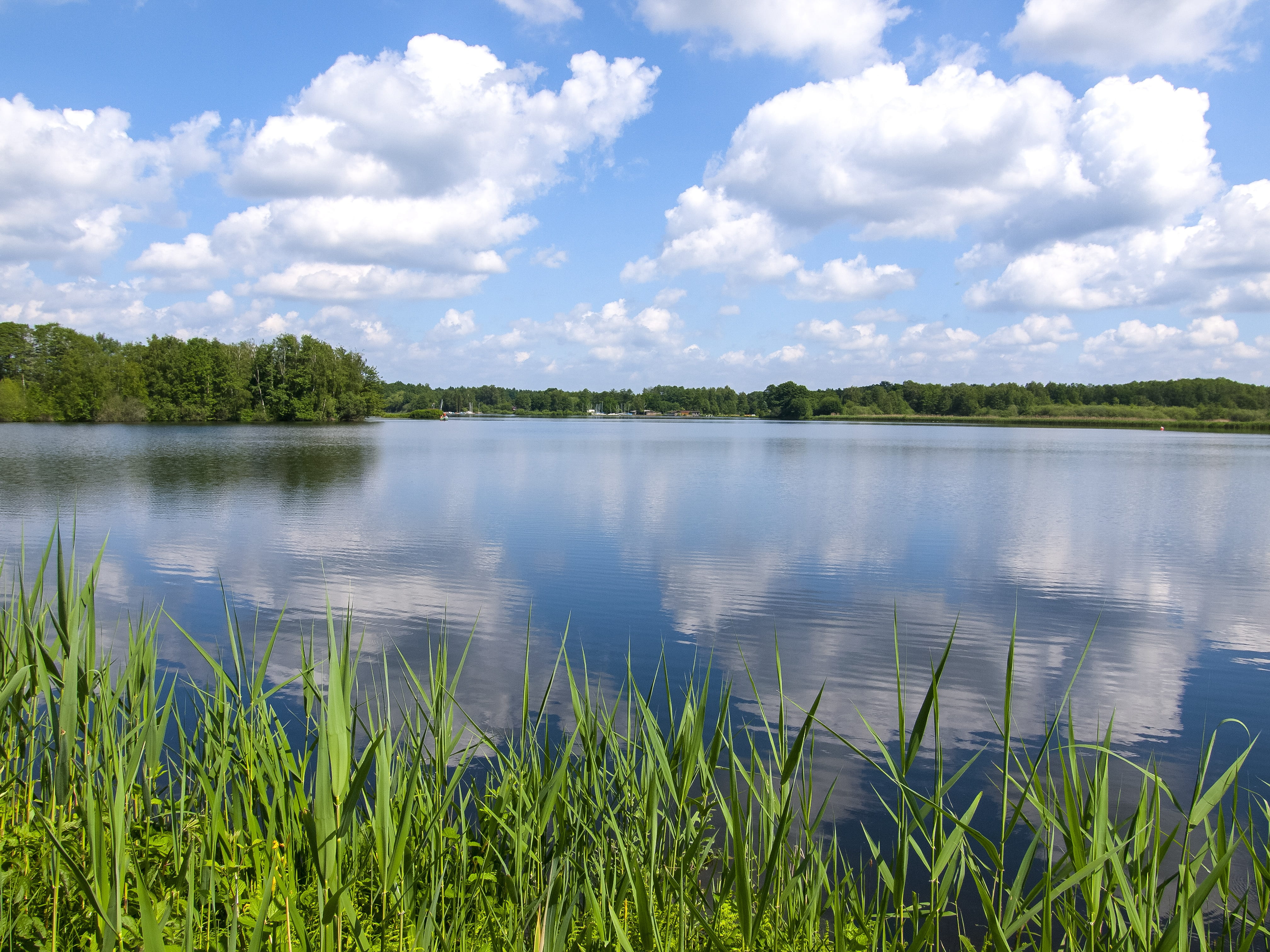 Pond, Landscape, Clouds, Nature, lake, reflection, cloud - sky