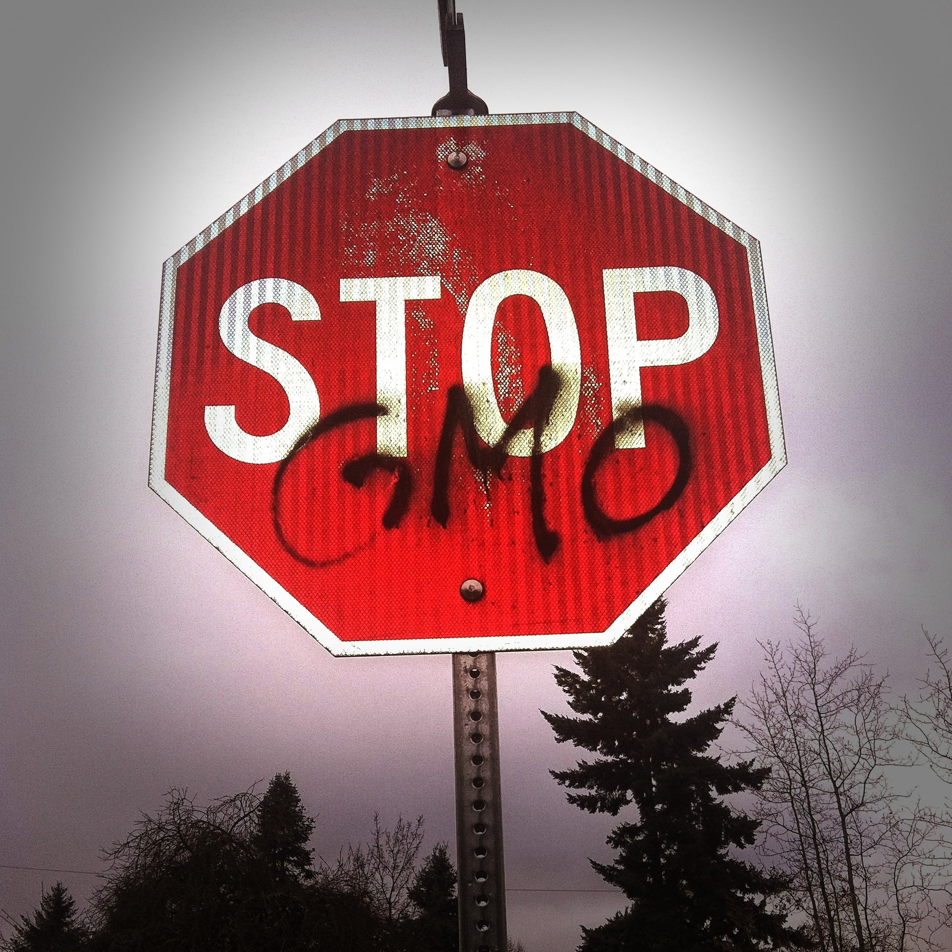 photo of red and white stop signage, gmo, science, food, health